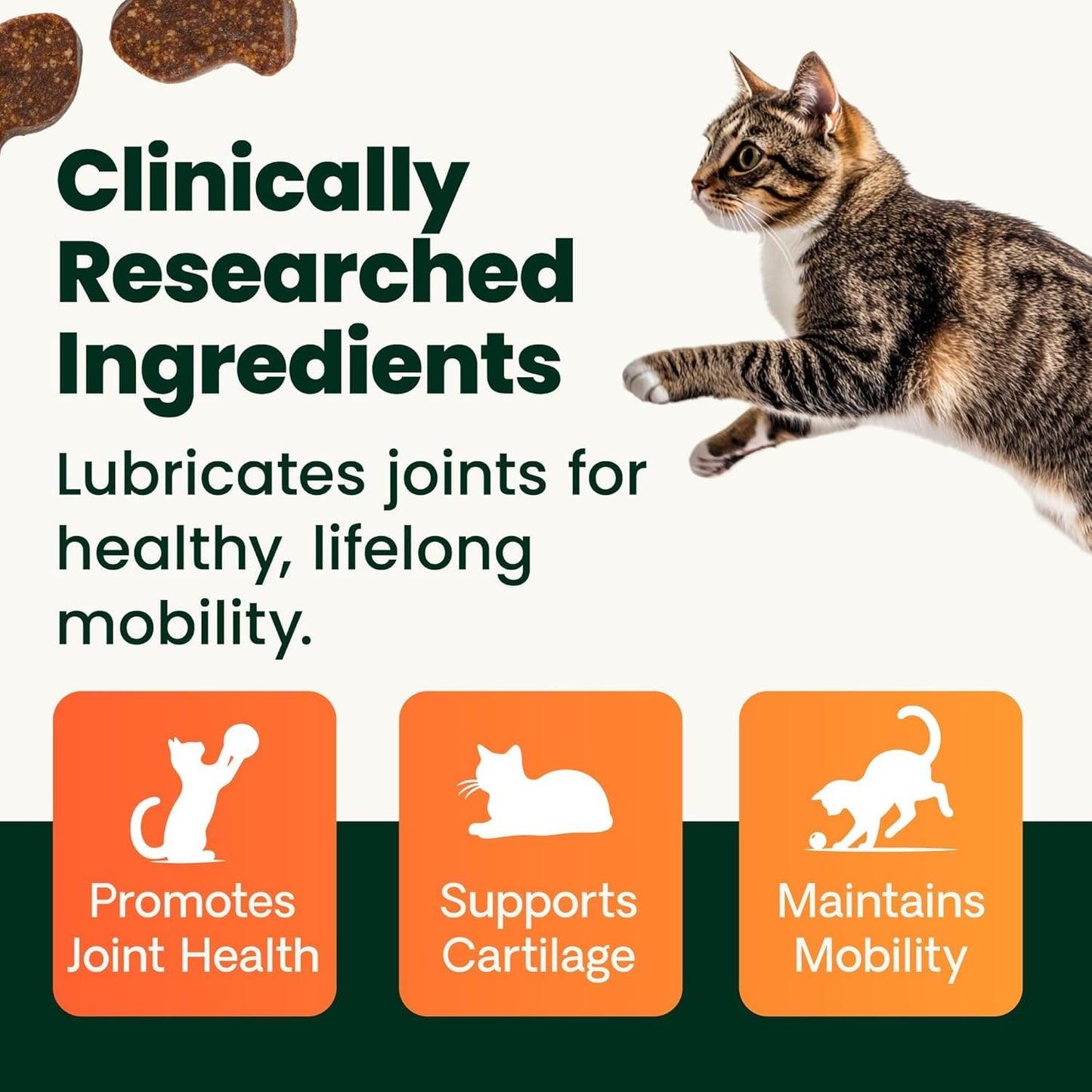 VetriScience Ultimate Strength Healthy Hip & Joint Chews, GlycoFlex Glucosamine, Chondroitin and Green-Lipped Mussel Joint Supplement for Cats, Soothe Joint Discomfort, Fish, 30 Count