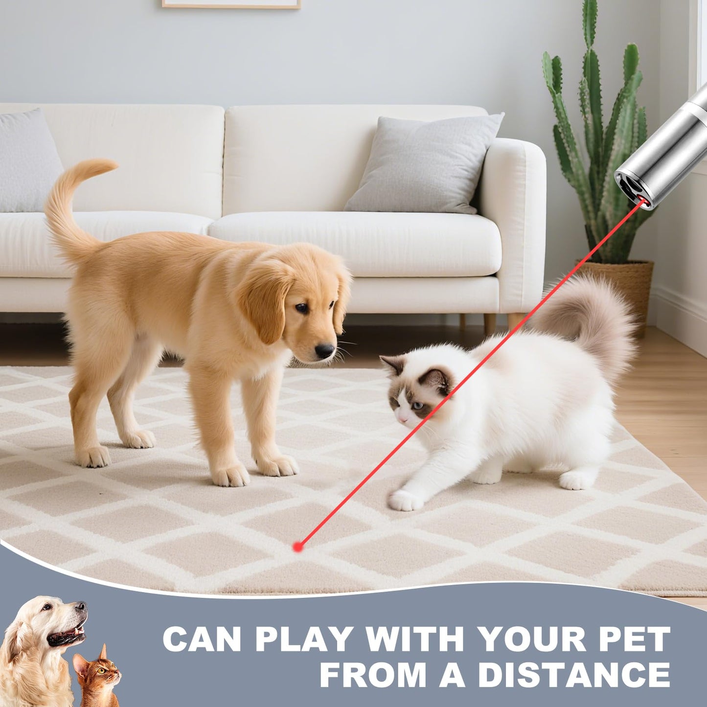 JANHER Laser Pointer, Cat Toys, Cat Laser Toy Pointer with 5 Adjustable Patterns, Dog Laser Toy, USB Recharge Laser, Long Range and 3 Modes Training Chaser Interactive Toy - Medaid International