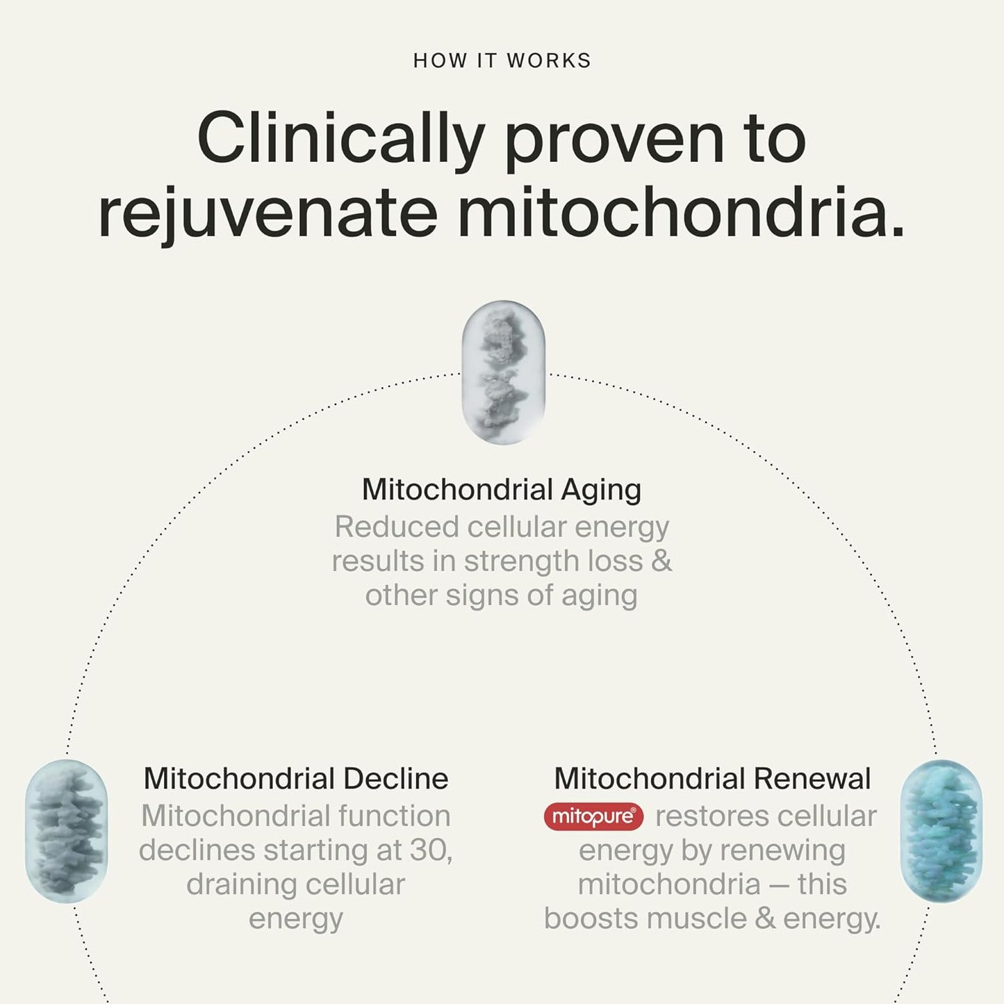 Timeline Mitopure Urolithin A - Clinically Proven Supplement for Healthy Aging and Cellular Renewal - Anti-Aging Mitoceutical for Muscle Strength, Endurance and Longevity - 60 Softgels