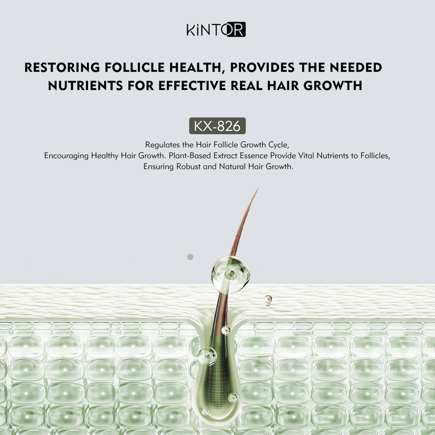 Kintor 0.5% KX-826 Hair Density Serums, DHT Blocker, Hair Repair, Thicker, Strengthening, Fuller-looking Healthier Hair, Reducing Hair Loss, for Men and Women, for All the Day, 60ml - Medaid International