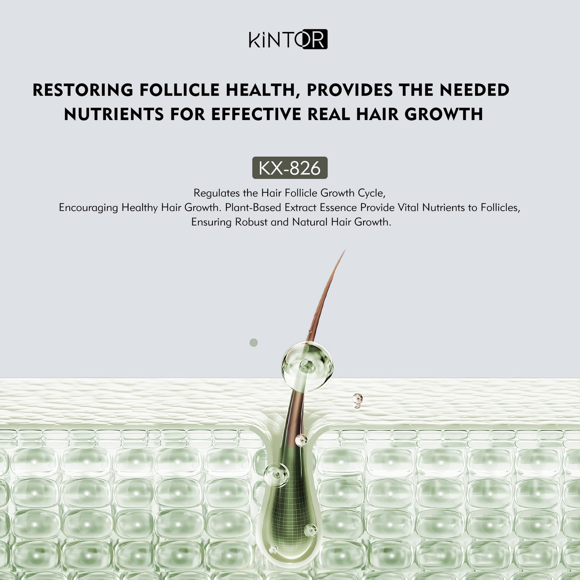 Kintor 0.5% KX-826 Hair Density Serums, DHT Blocker, Hair Repair, Thicker, Strengthening, Fuller-looking Healthier Hair, Reducing Hair Loss, for Men and Women, for All the Day, 60ml - Medaid International