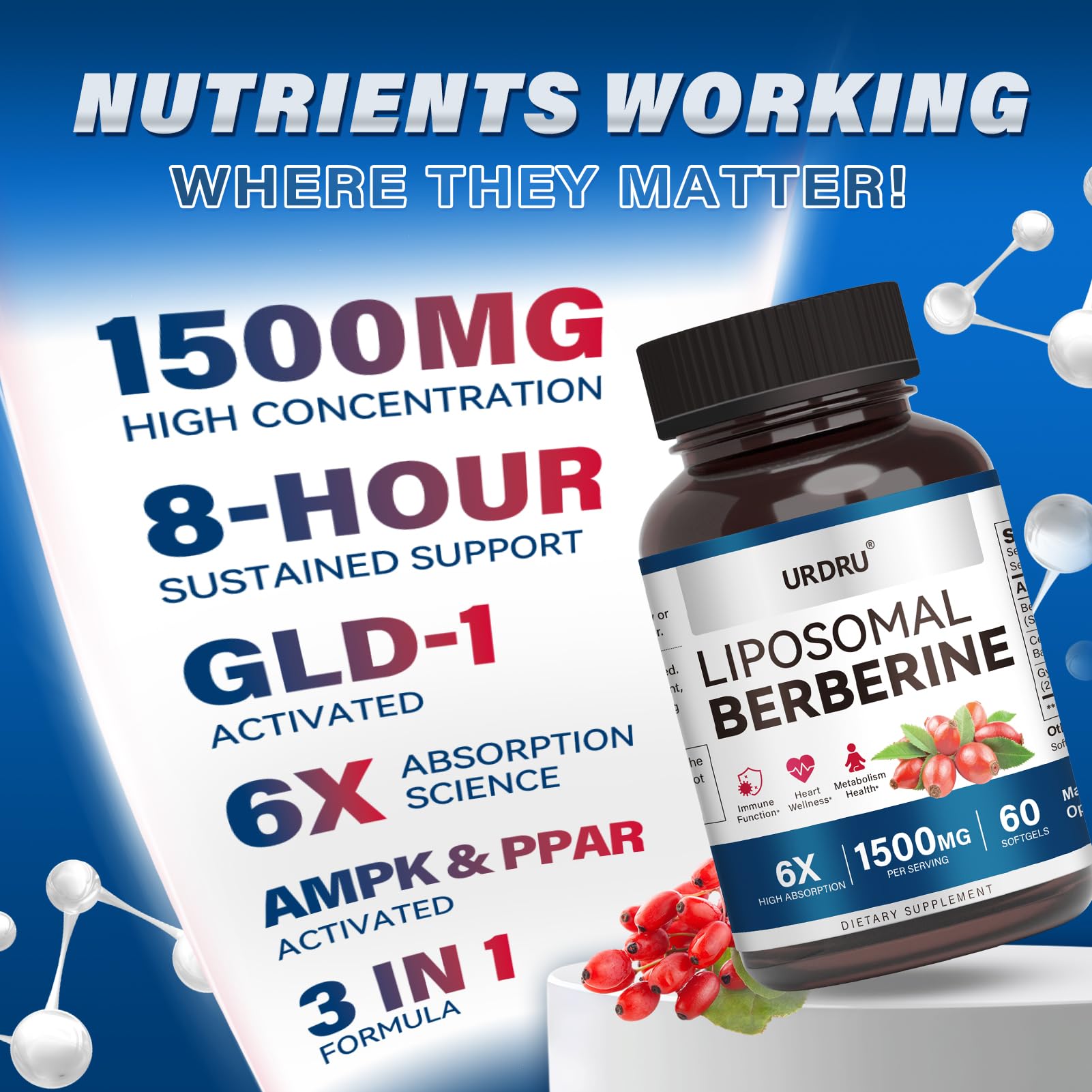 URDRU Berberine HCL Supplement 1500mg - with Ceylon Cinnamon & Gymnema, High Bioavailability Liposomal Berberine Capsules for Women and Men, AMPK Activator - Medaid International
