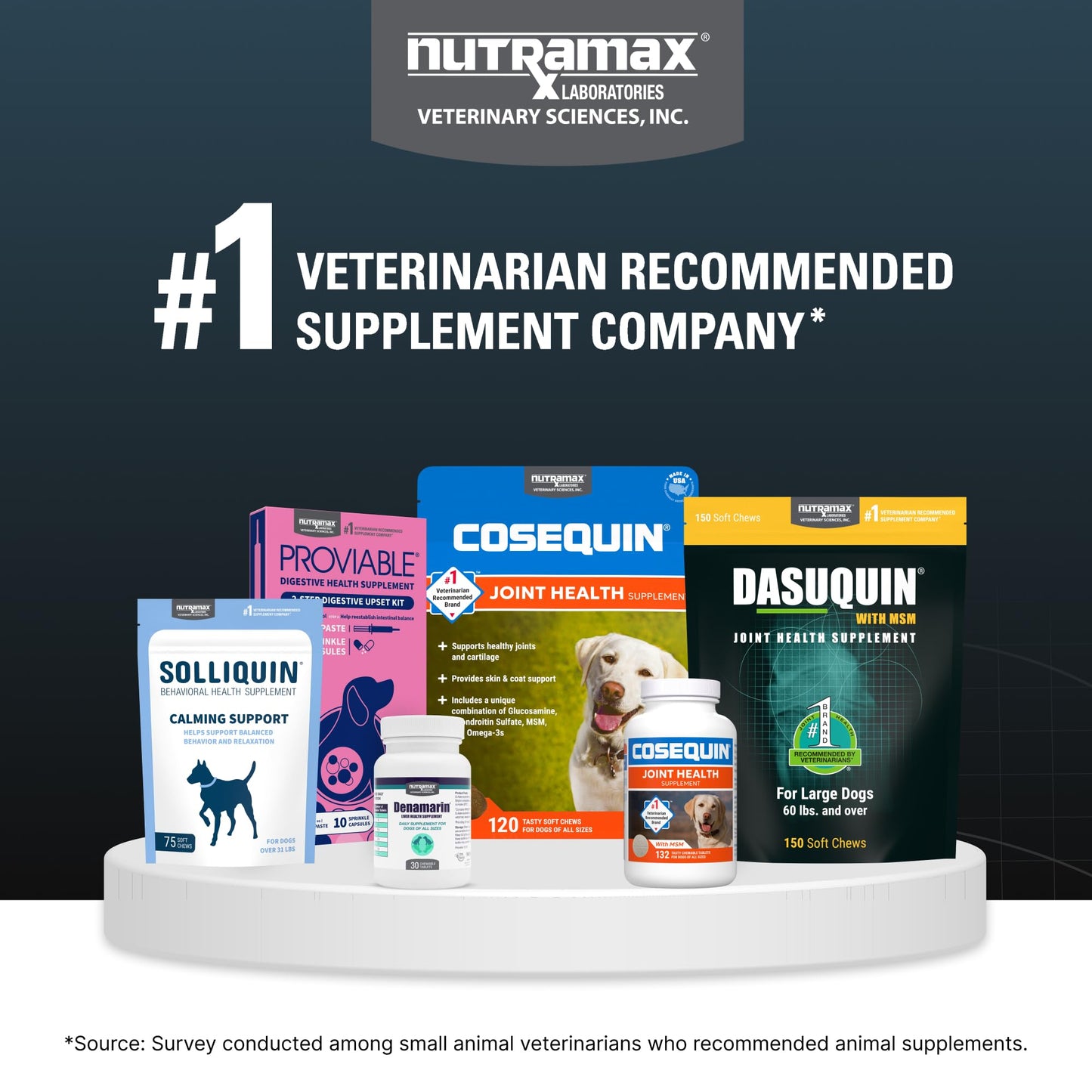 Nutramax Dasuquin for Large Dogs, Joint Health Supplement, Contains Glucosamine for Dogs, Plus Chondroitin, ASU, MSM and More, Supports Healthy Joints, Soft Chews, 42 Count