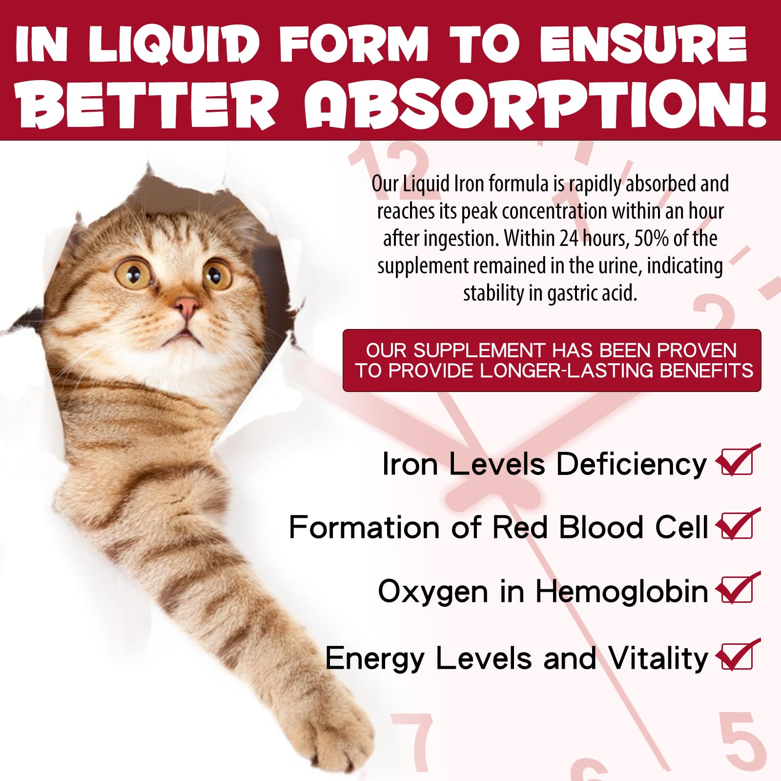 Iron for Cats with Anemia, 2 Fl Oz Liquid Iron Supplements for Cats Improves Anemia, Low Energy Levels and Lethargy, Promotes Blood Health - Medaid International