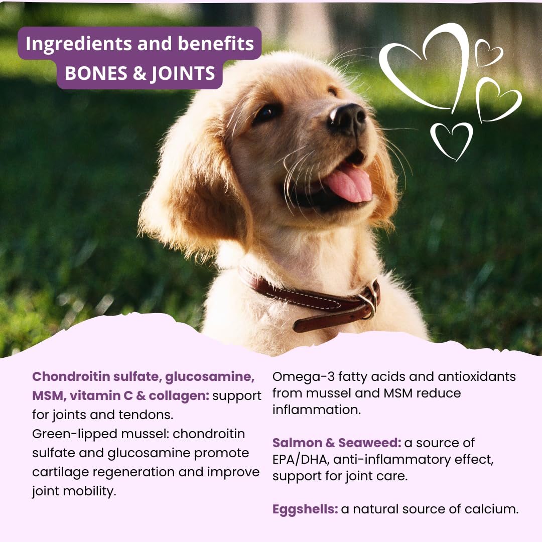 ITIKO Glucosamine Dog Supplements, Bone and Joint Supplement for Dogs with Green-Lipped Mussel, MSM, Chondroitin & Omega-3 | 100-120 PCS of Chews for All Breeds Size