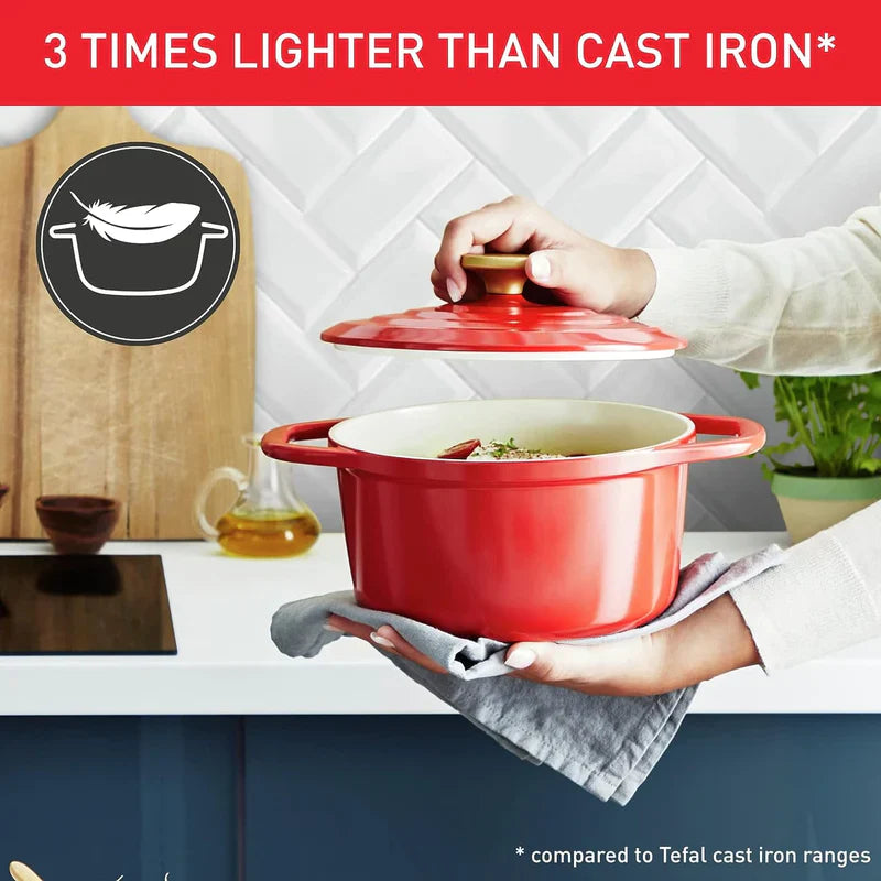 Tefal Air Cast Aluminium Stewpot 20cm