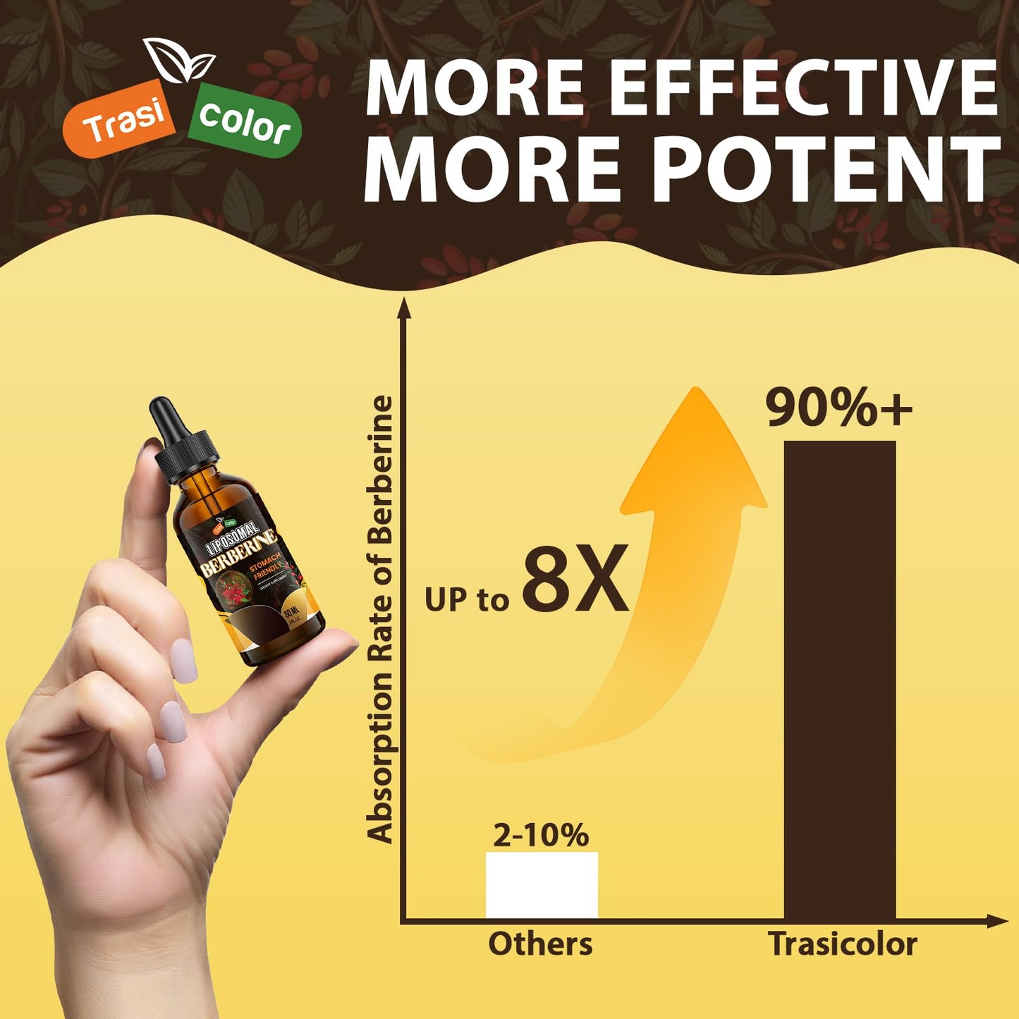 Berberine Supplement Liquid Drops - High Bioavailability Liposomal Berberine Supplements, Berberine HCL Complex with Ceylon Cinnamon Plus Turmeric, AMPK Activator, Suitable for Women,Men-60ml - Medaid International