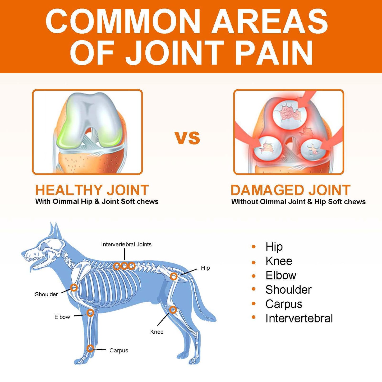 Hip and Joint Supplements Chews for Dogs, 30PCS Hip & Joint Care Tablets with Glucosamine, Chondroitin, Green-Lipped Mussels and Vitamins for Dog Joint Care (Duck Flavor)
