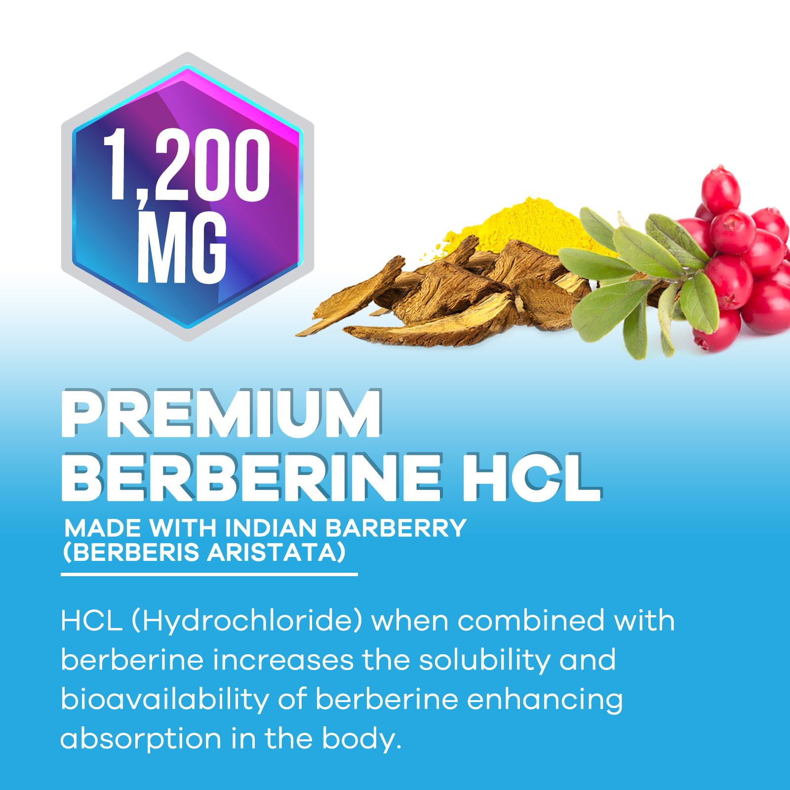 Berberine HCL 1200mg Supplement - Berberine HCI Capsules High Absorption Supplement for Heart Health & Immune Support, High Strength, Gluten-Free, Vegan, Non-GMO Pills - 60 Veggie Capsules - Medaid International