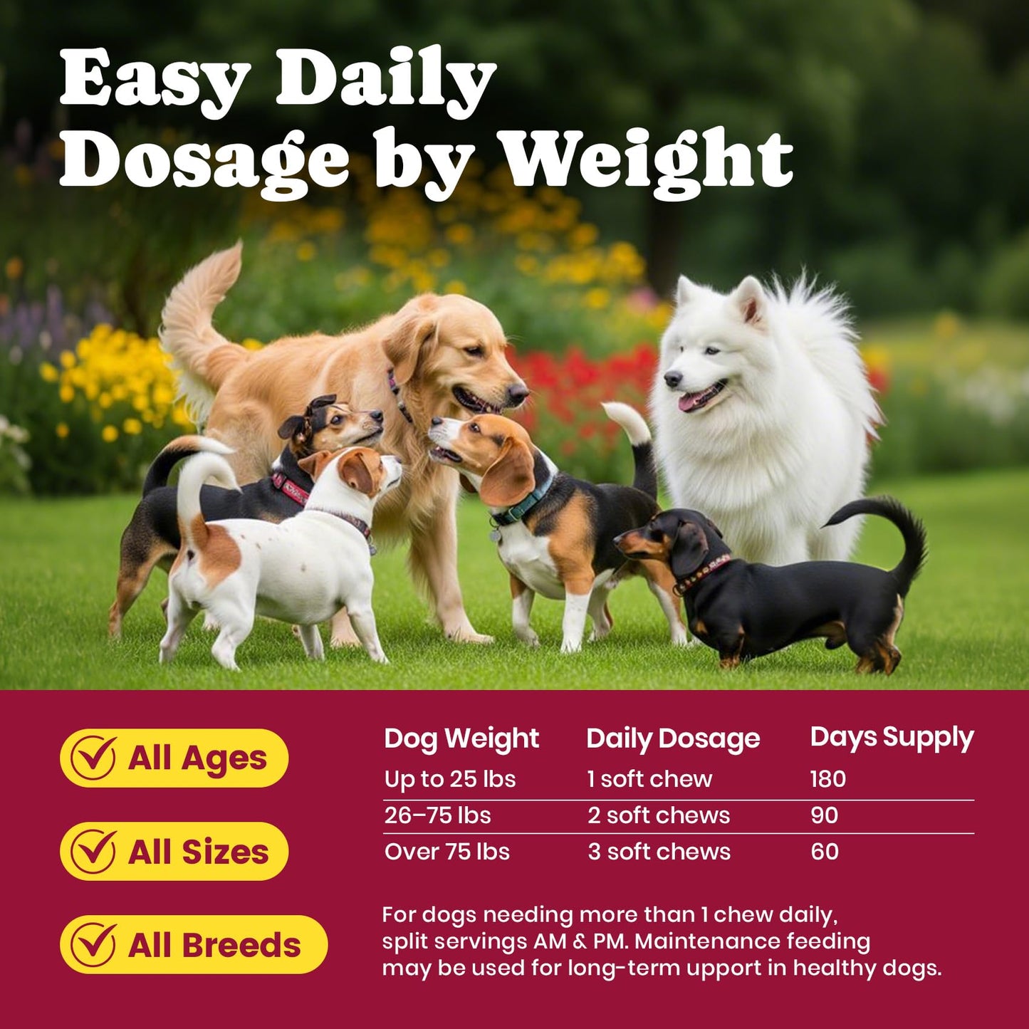 Glucosamine for Dogs - Hip and Joint Supplement Chews for Senior & Large Breed, Joint Supplement for Dogs with Chondroitin, Wuffe Joint Chews for Pain Relief - 60-Day Satisfaction Guarantee - 180 Ct
