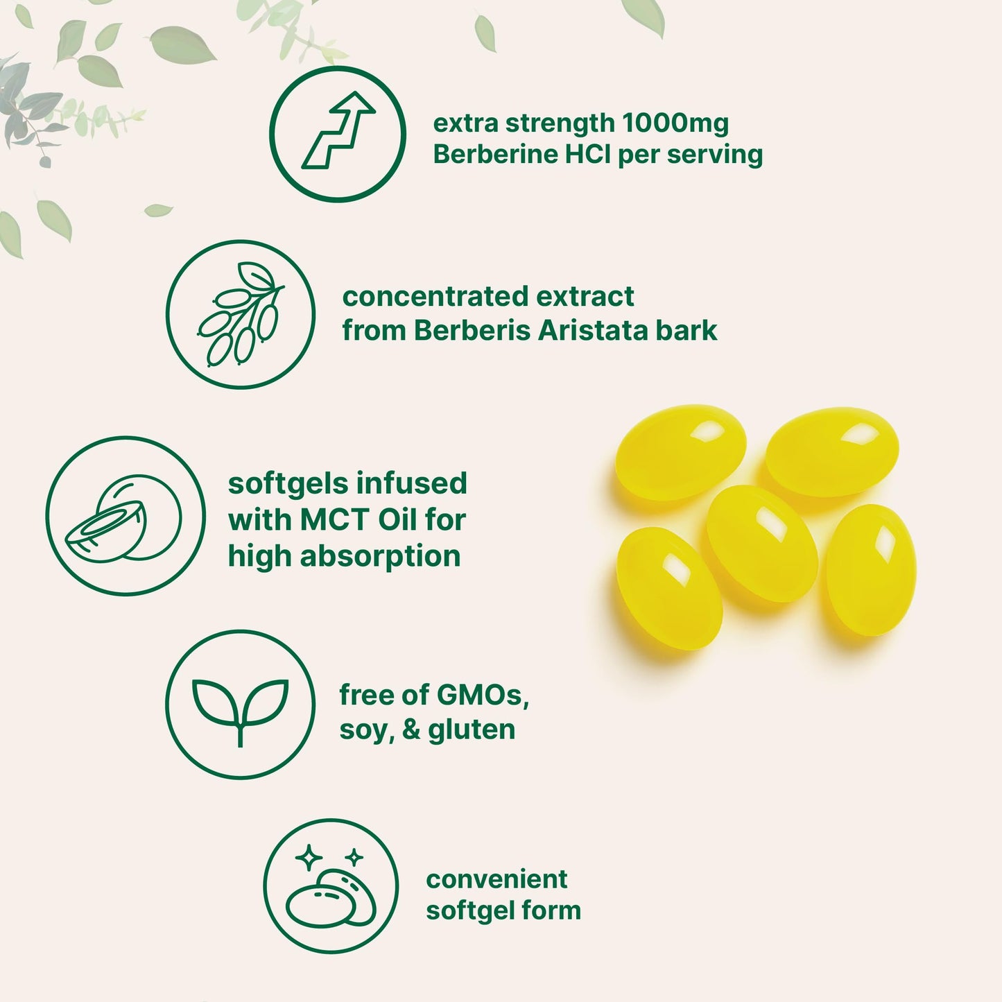 Micro Ingredients Berberine 1000mg with MCT Oil, 240 Softgels | Highly Bioavailable Formula with Berberine HCI from Berberis Aristata | Non-GMO, Gluten Free, No Soy - Medaid International
