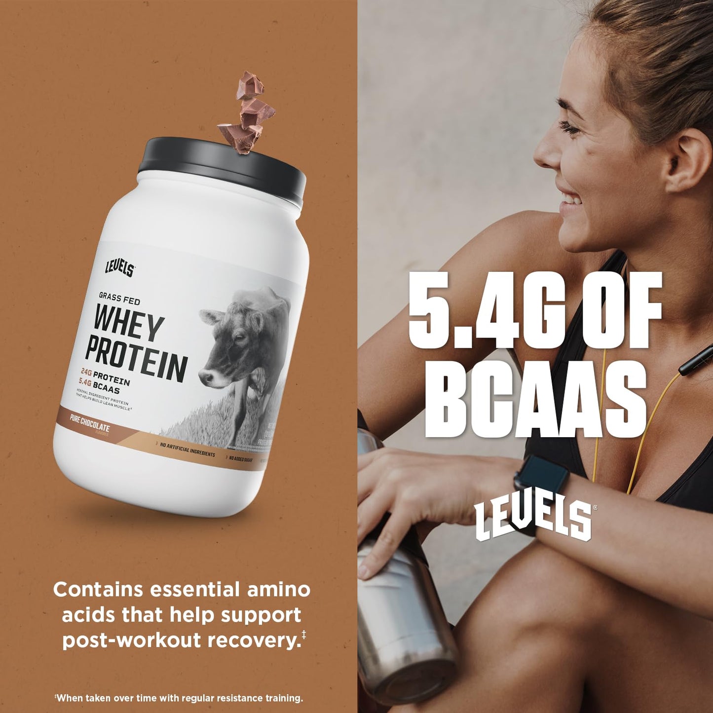 Levels Grass Fed Whey Protein Powder, No Artificials, 24G of Protein, Pure Chocolate, 2LB - Medaid International