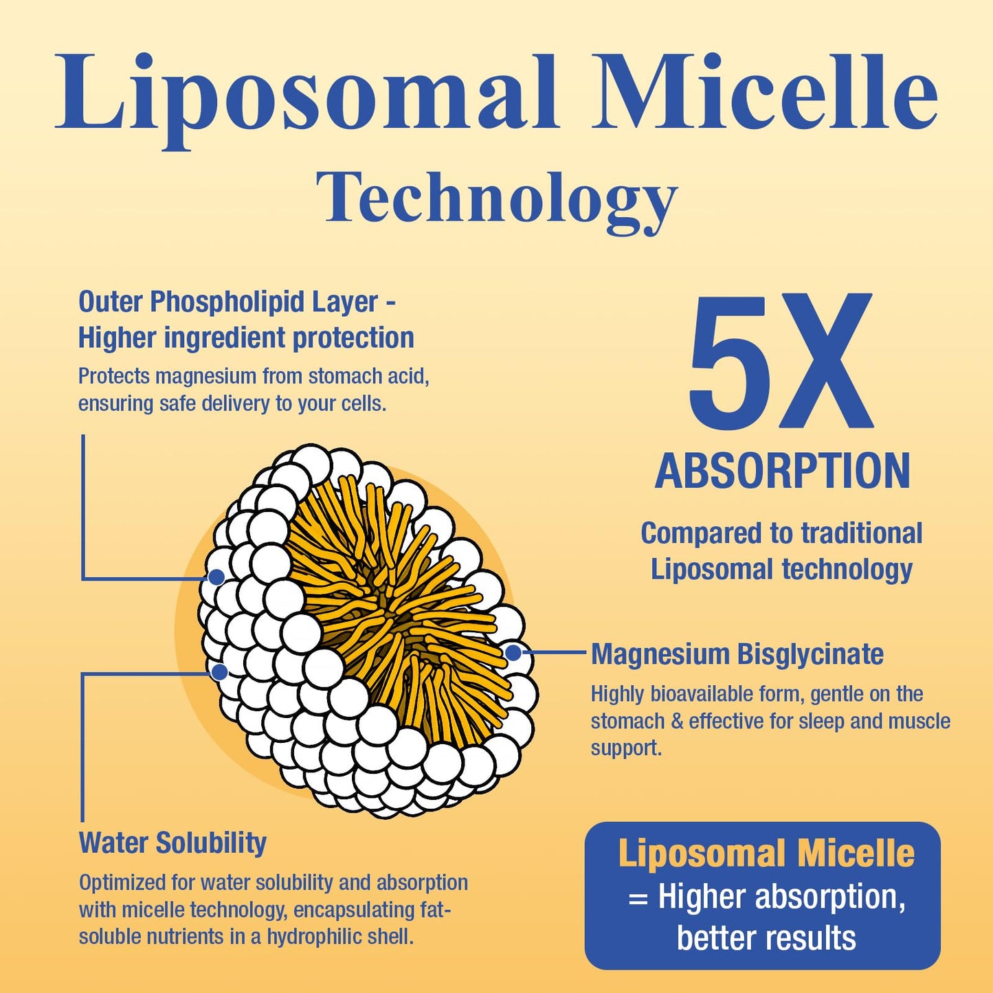 Magnesium Bisglycinate Chelated Supplement – High Absorption Liquid Magnesium Complex – Liposomal Micelle Technology – High Potency Formula for Sleep, Muscle, Heart, Calm– Sugar Free, Vegan, 60ml - Medaid International