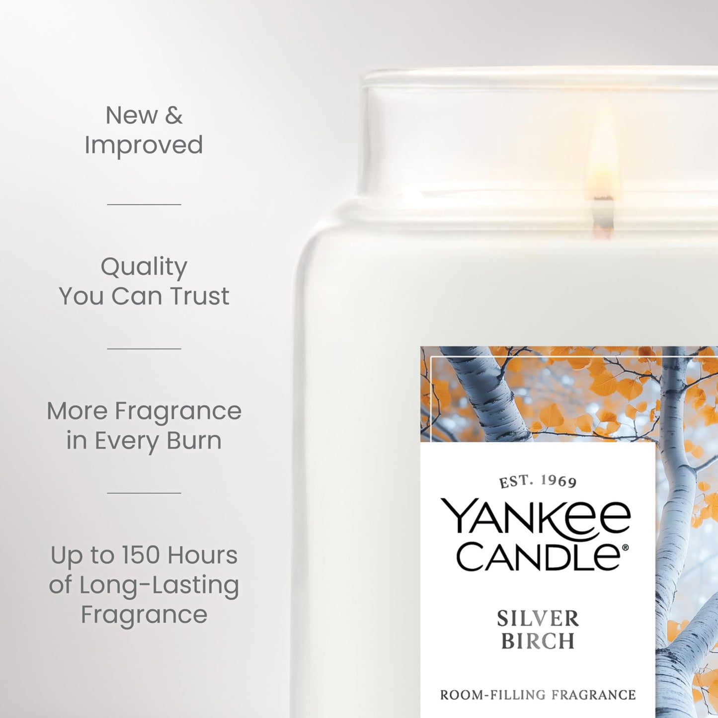 Yankee Candle, Silver Birch Fall Scented Candle, 22oz Large Jar with up to 150 Hour Burn Time - Medaid International