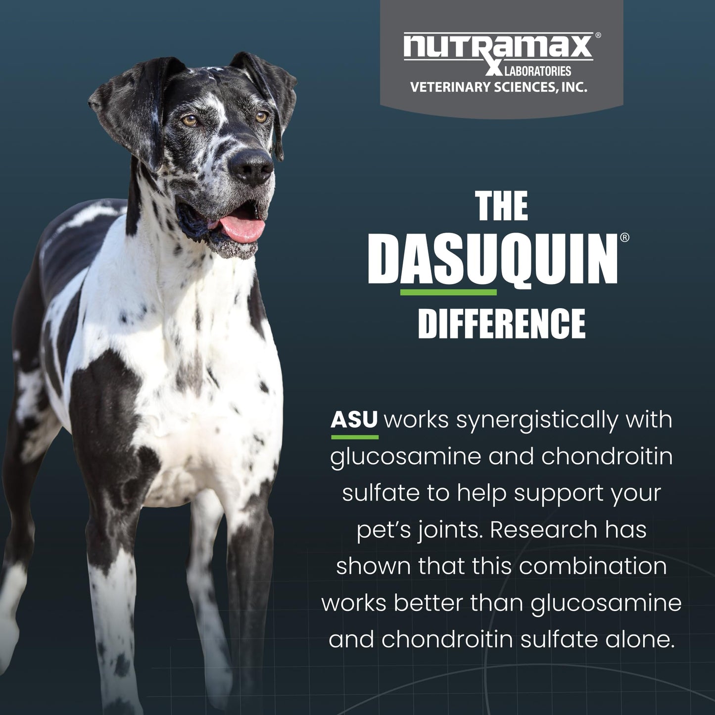 Nutramax Dasuquin for Large Dogs, Joint Health Supplement, Contains Glucosamine for Dogs, Plus Chondroitin, ASU, MSM and More, Supports Healthy Joints, Soft Chews, 42 Count
