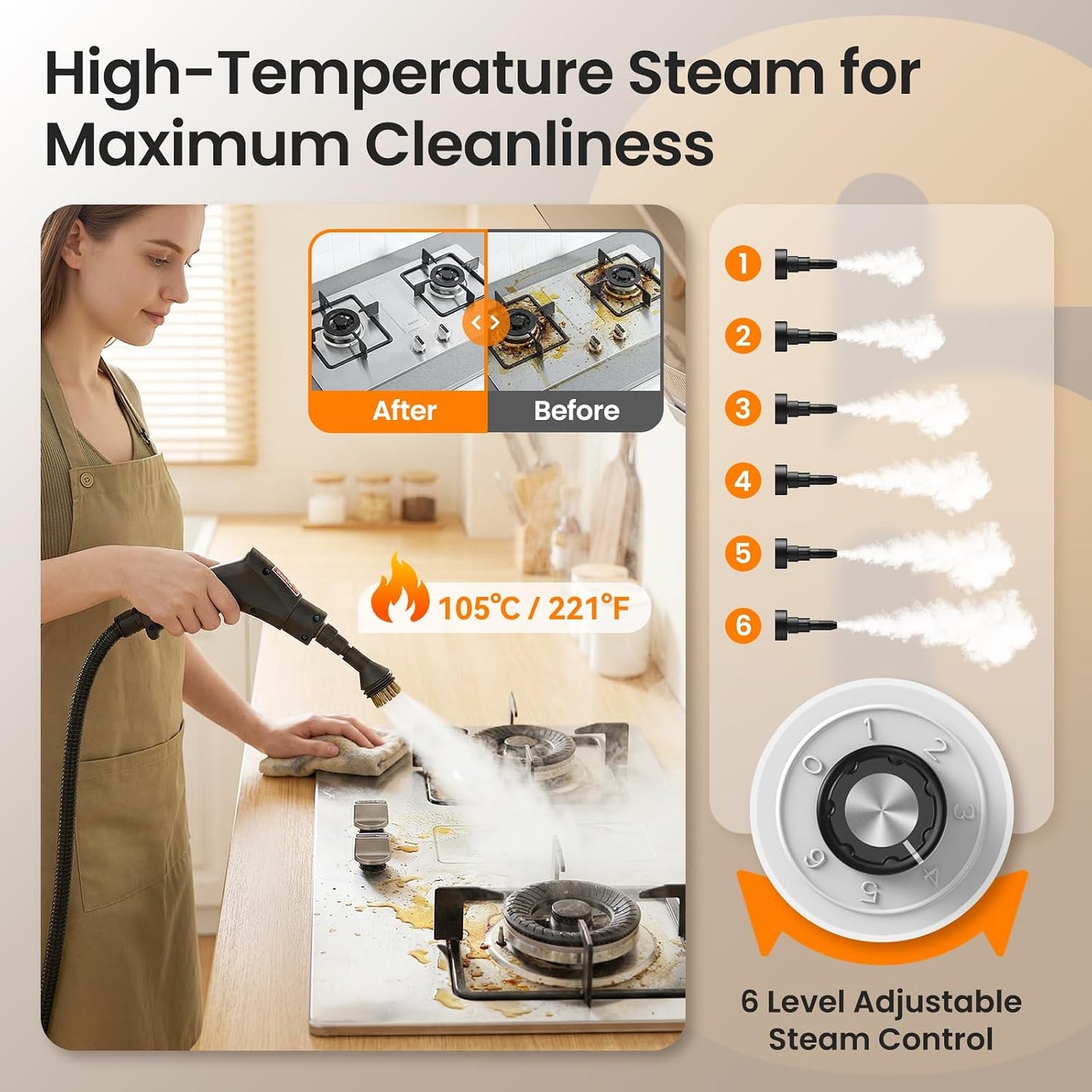 Portable Steam Cleaner (202625c)