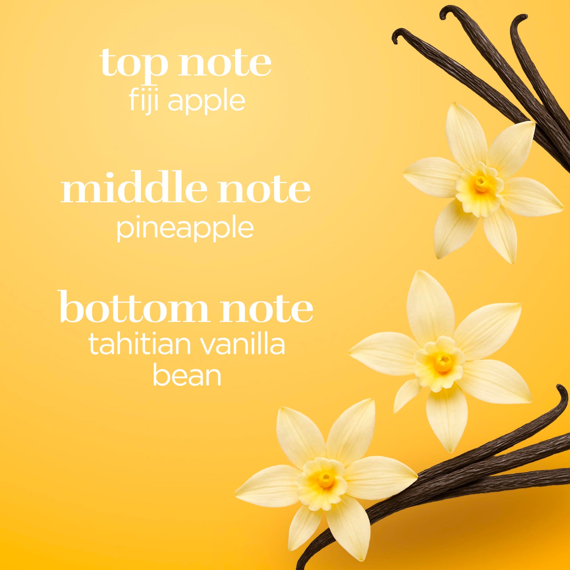 Body Fantasies Fragrance Body Spray, Vanilla, 8 Ounce - Medaid International