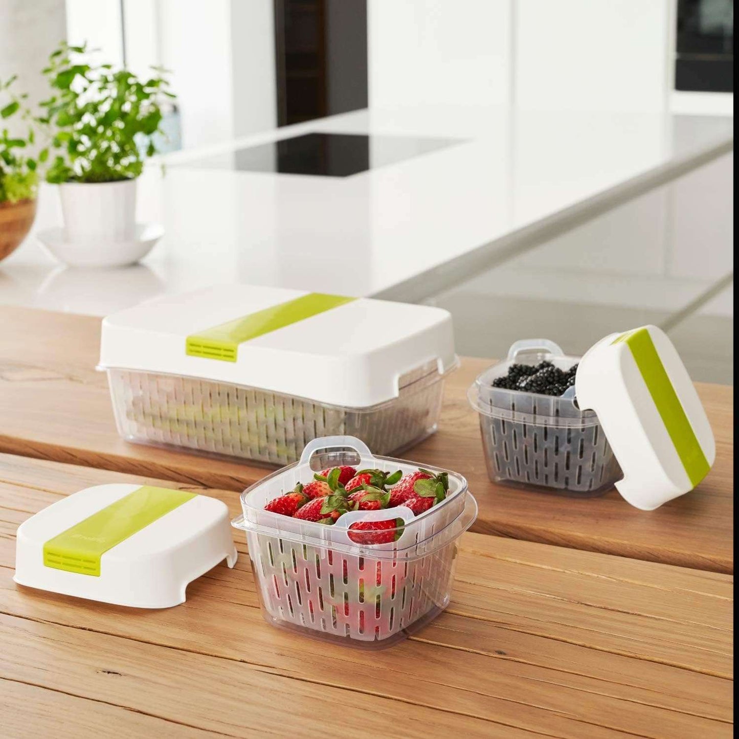 Rotho Fresh Dynamic Food Storage Container, 1.6l