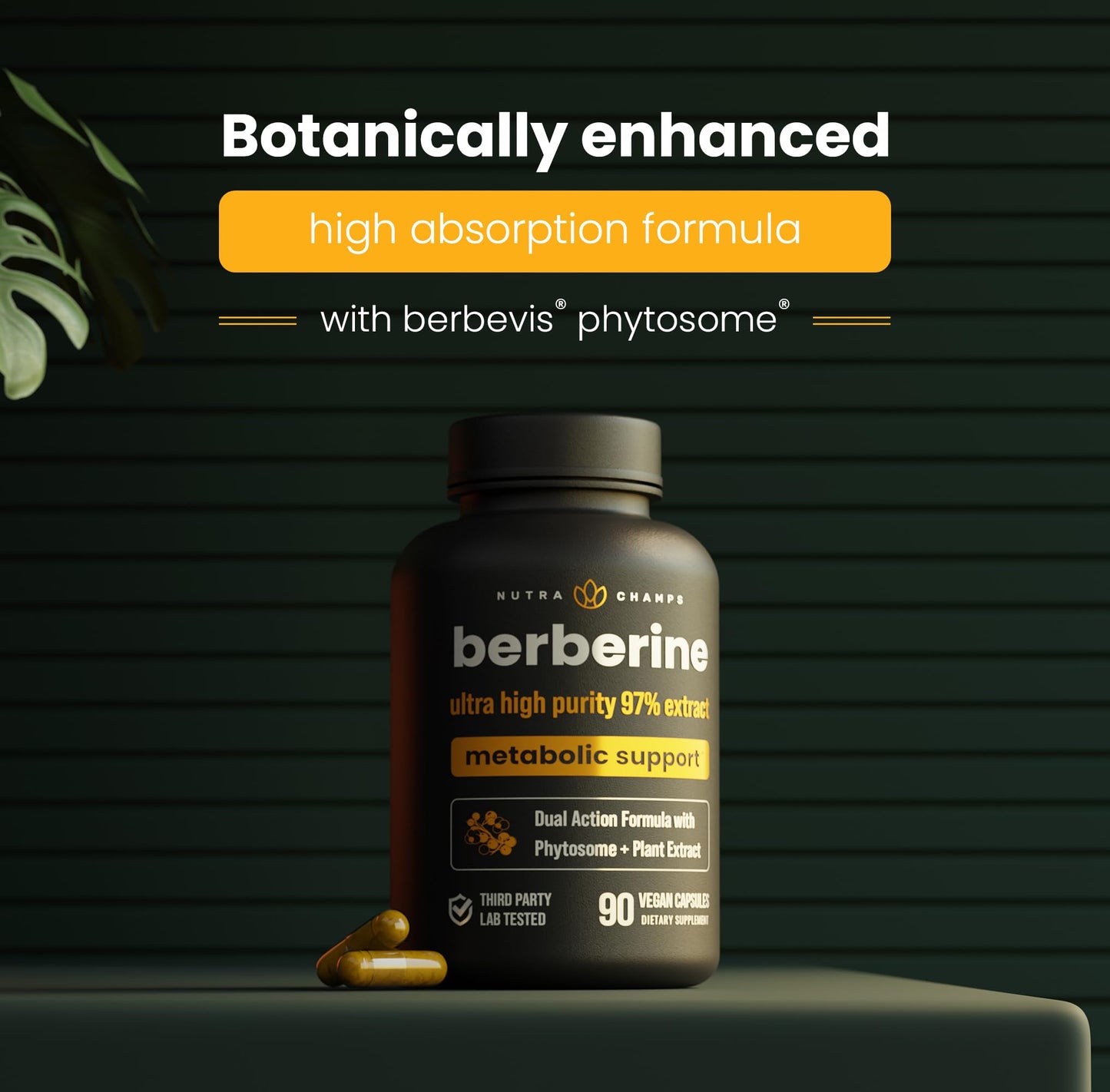 NutraChamps Berberine Supplement | Ultra High Strength 97% Purity | Berberine HCL 1500mg + Berbevis Phytosome Extract for Enhanced Absorption & Metabolic Support | Premium 500mg 90 Vegan Capsules - Medaid International