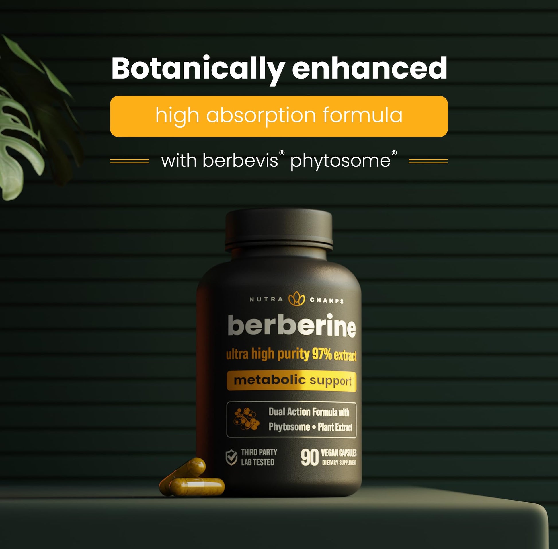 NutraChamps Berberine Supplement | Ultra High Strength 97% Purity | Berberine HCL 1500mg + Berbevis Phytosome Extract for Enhanced Absorption & Metabolic Support | Premium 500mg 90 Vegan Capsules - Medaid International