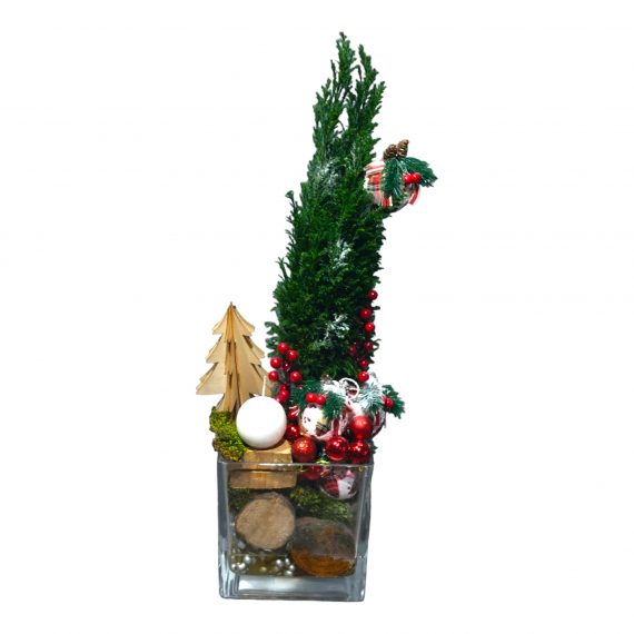 Charming Christmas Tree | Beirut Lebanon - Medaid International