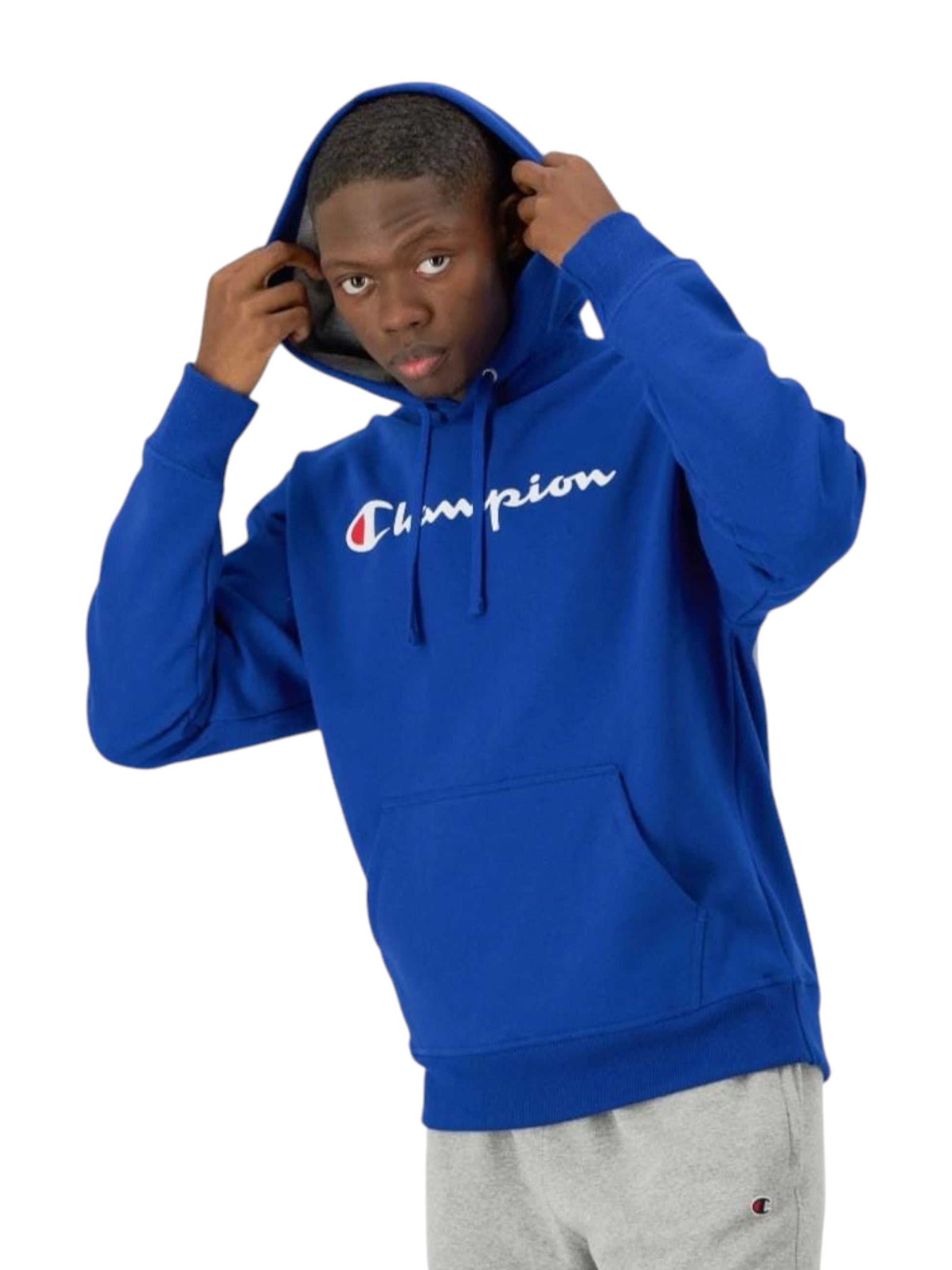 Men's Brand Logo printed Solid Hoodie,Blue