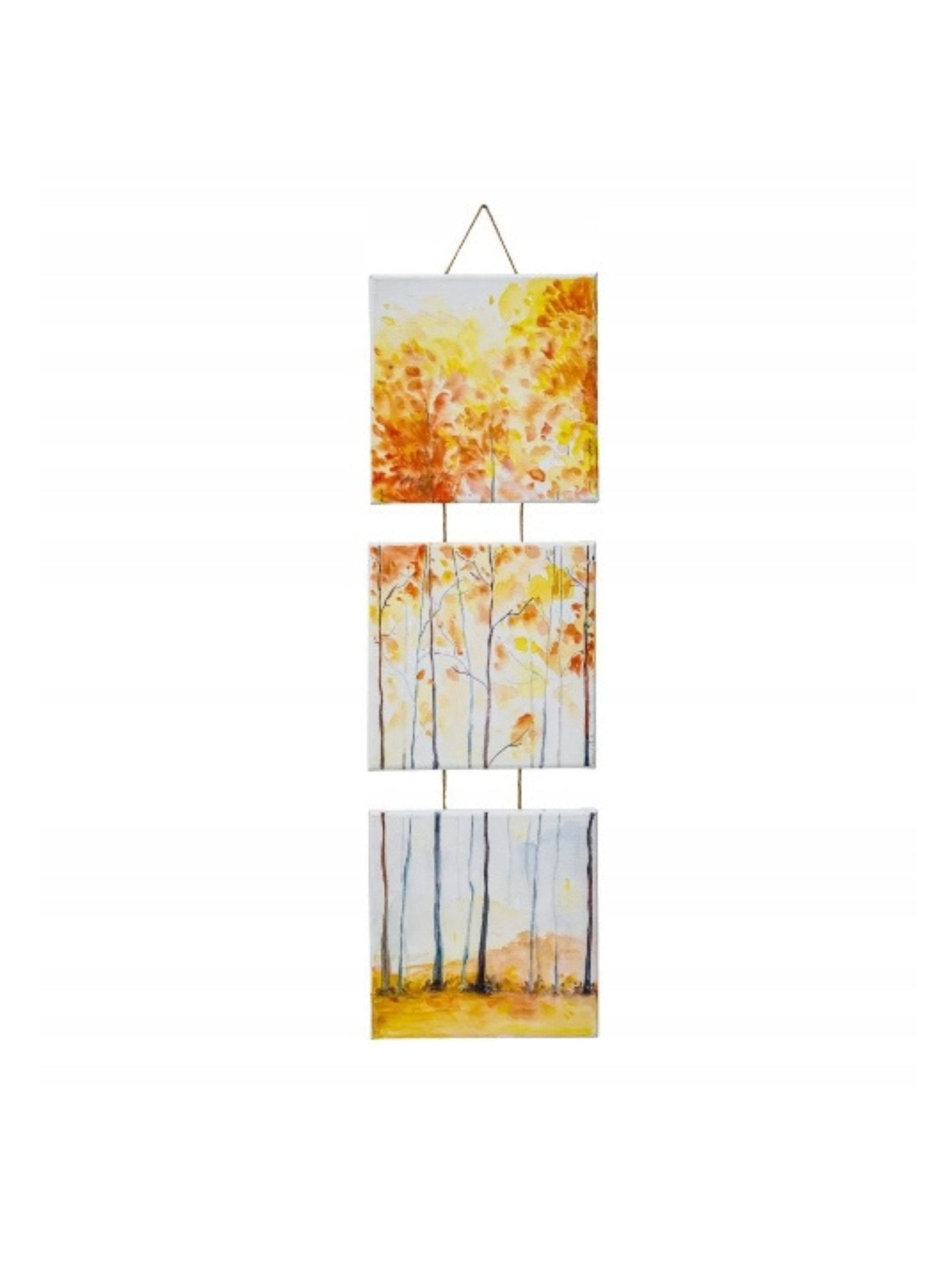 Canvas Set