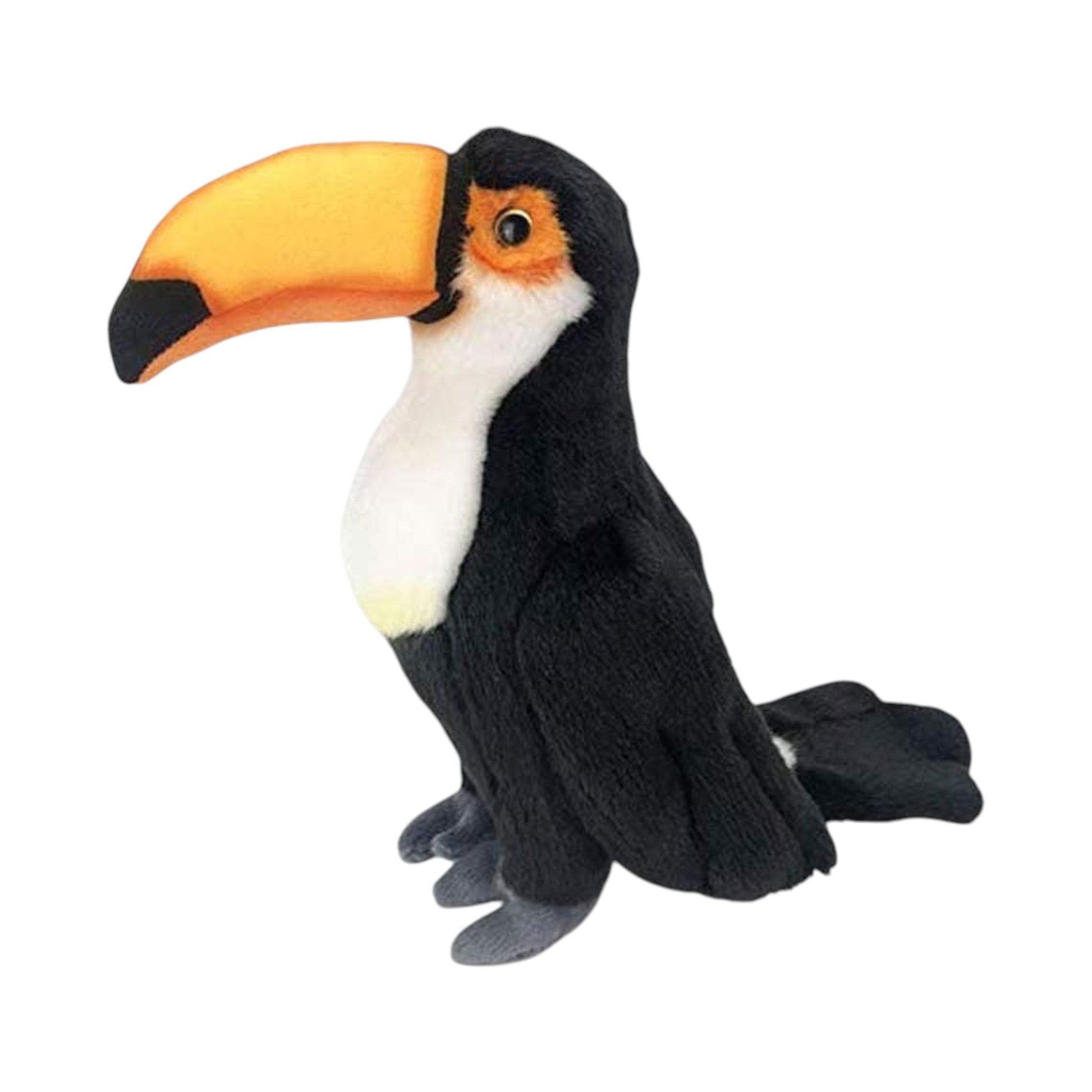 Toucan Bird