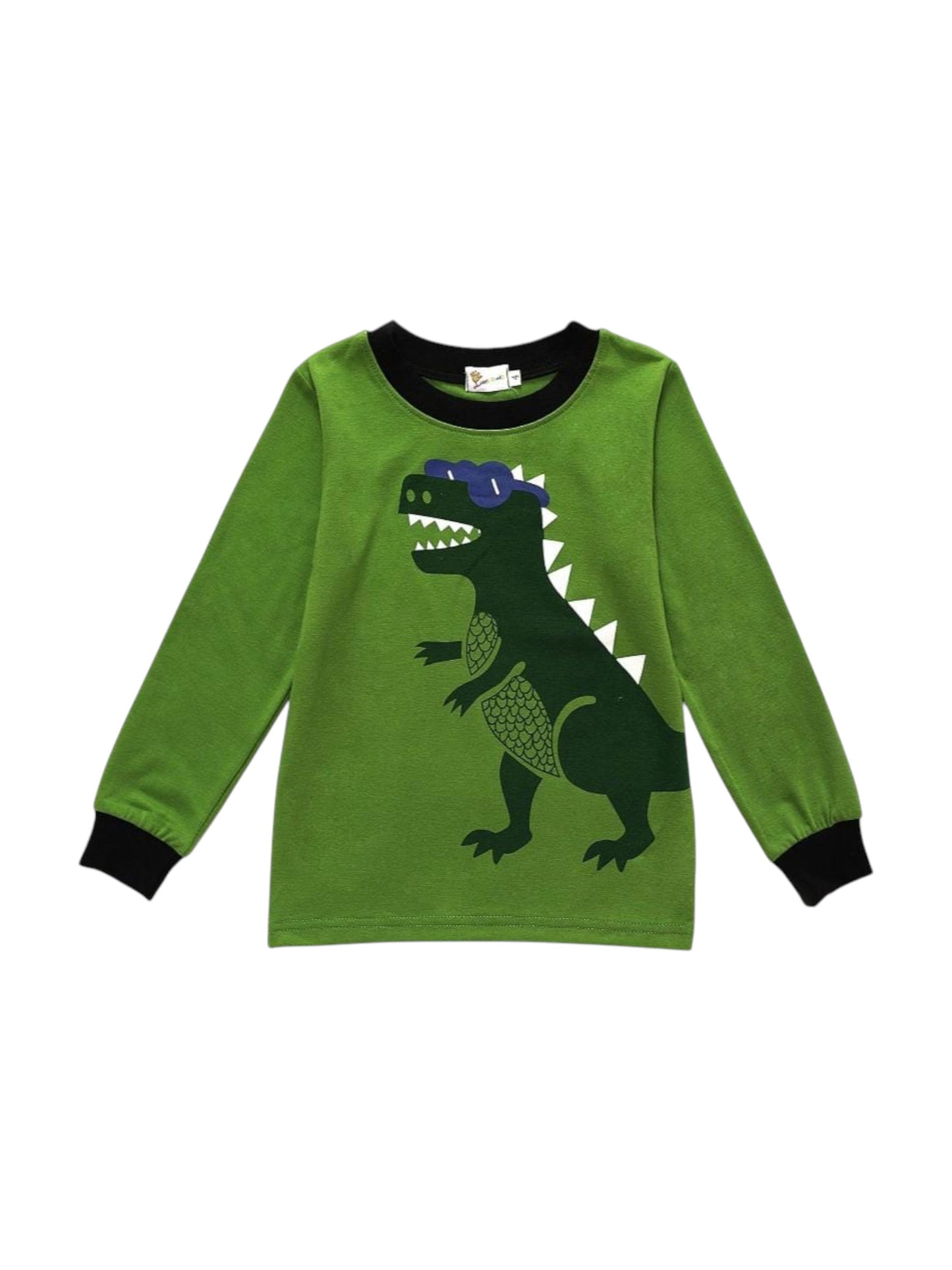 Kids Boy's Printed Top,Green