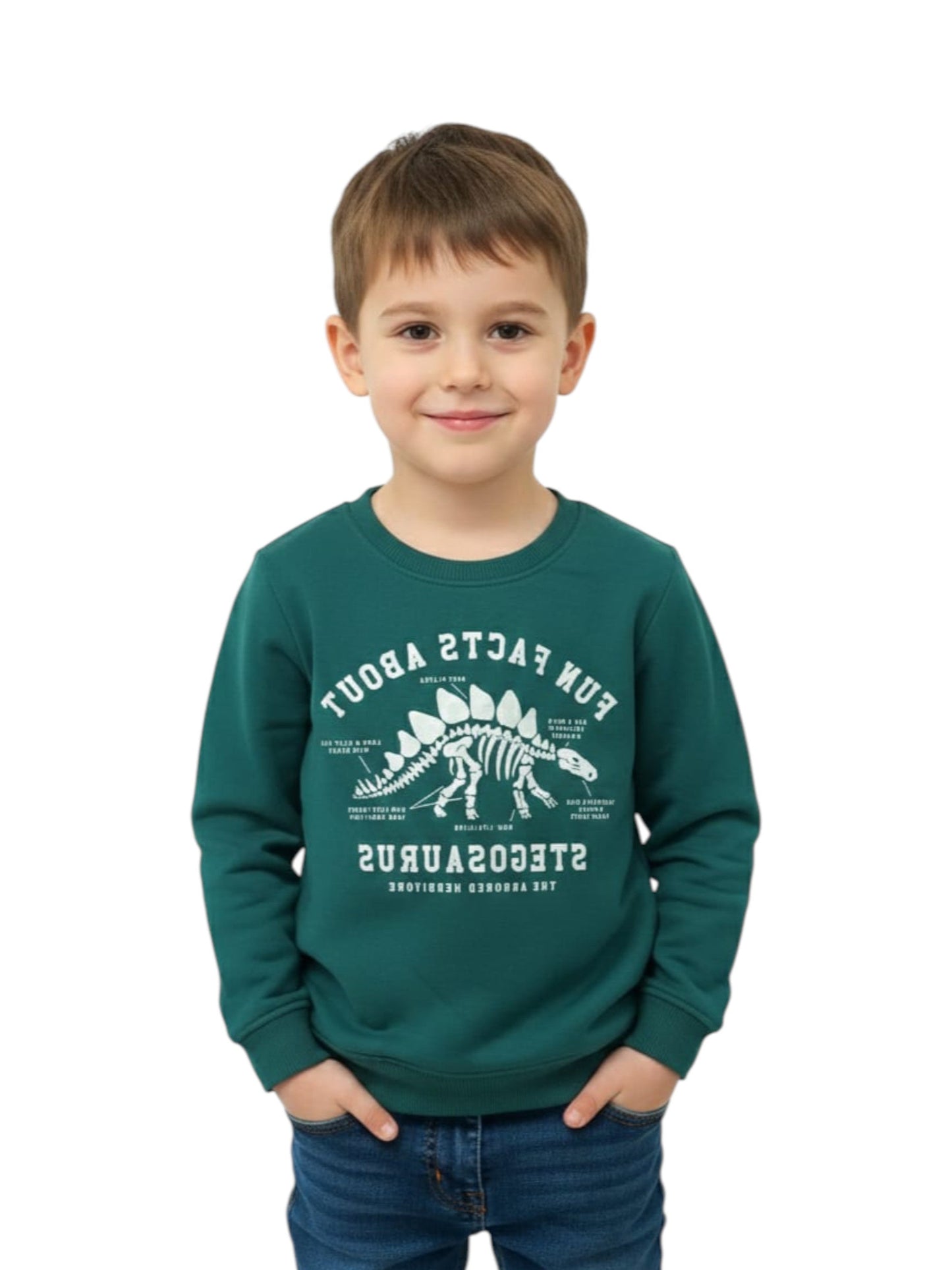 Kids Boy's Graphic Printed Sweaters,Green