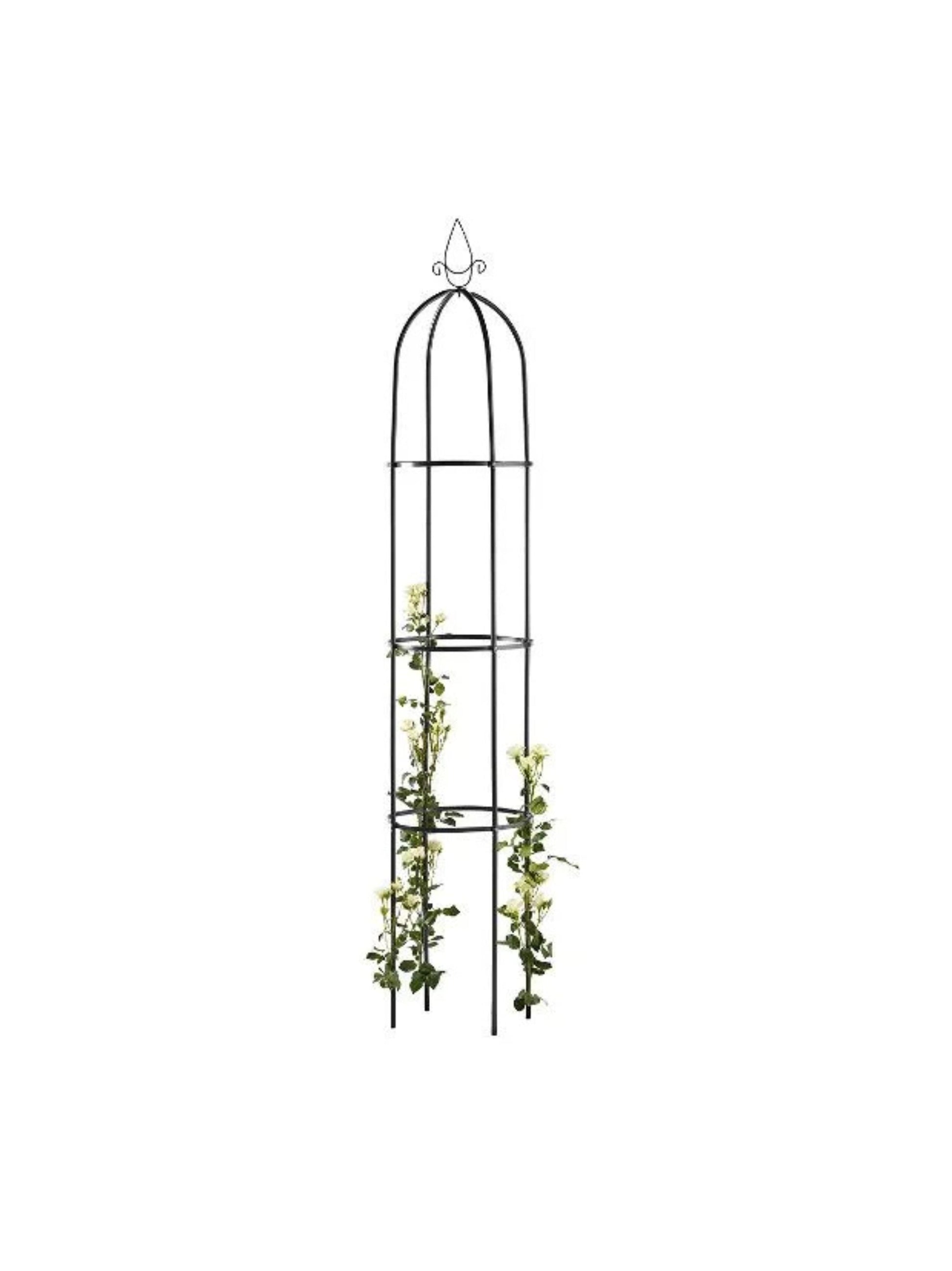 Arch, Supports for Climbing Plants