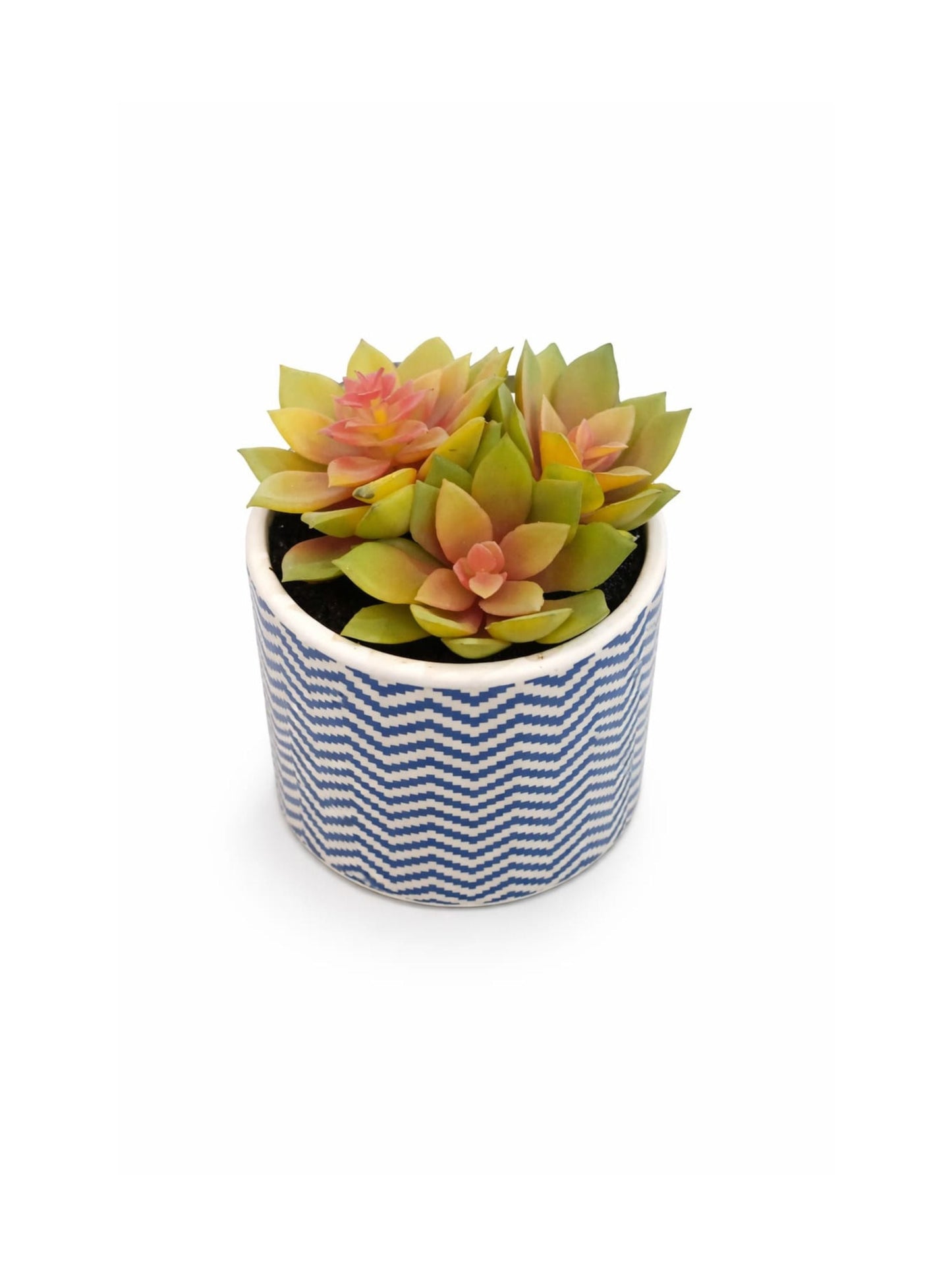 Decorative Ceramic Pot