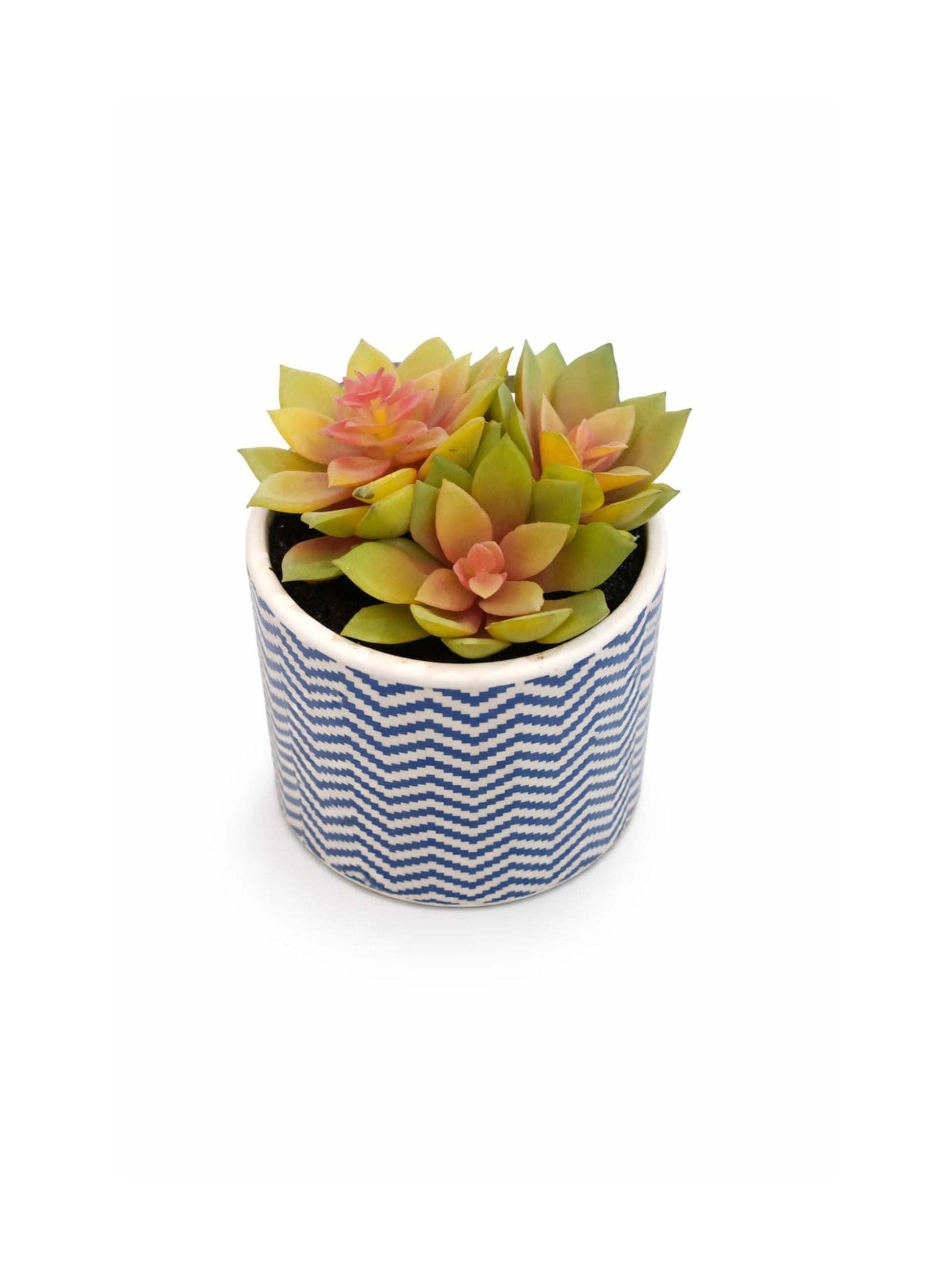 Decorative Ceramic Pot
