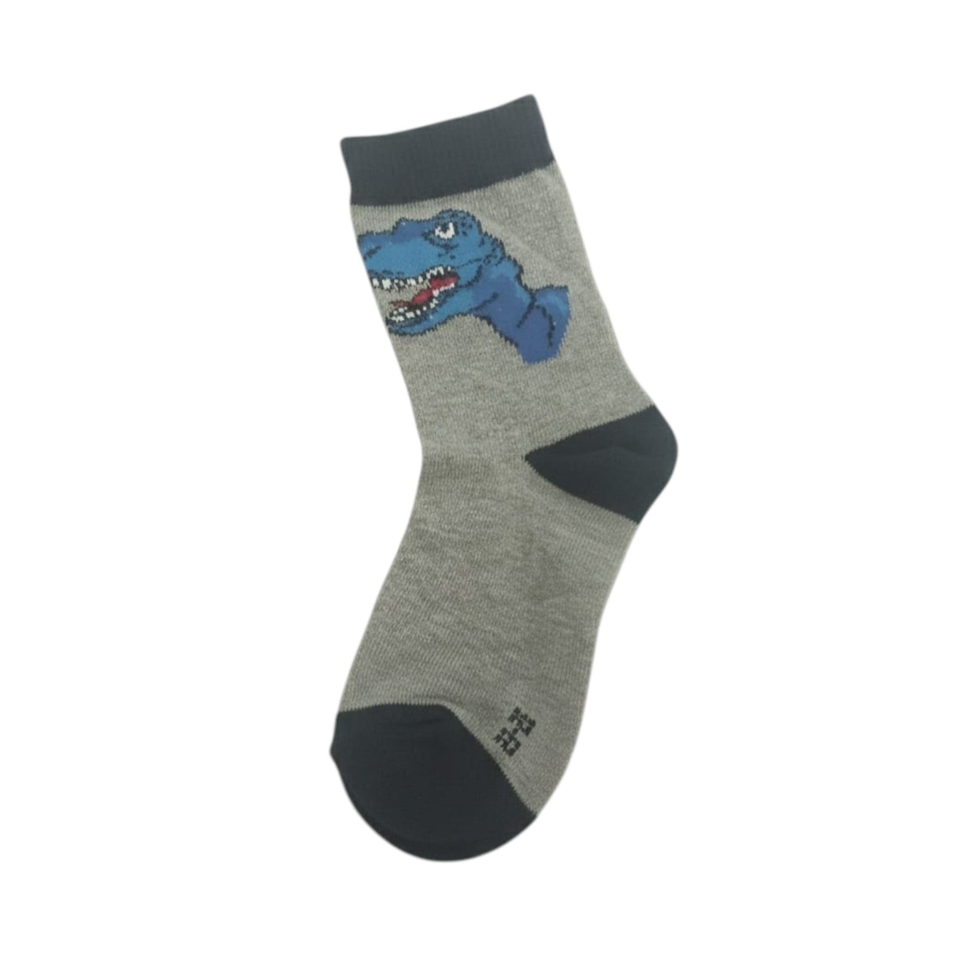 Kids Boy's Printed Socks,Grey