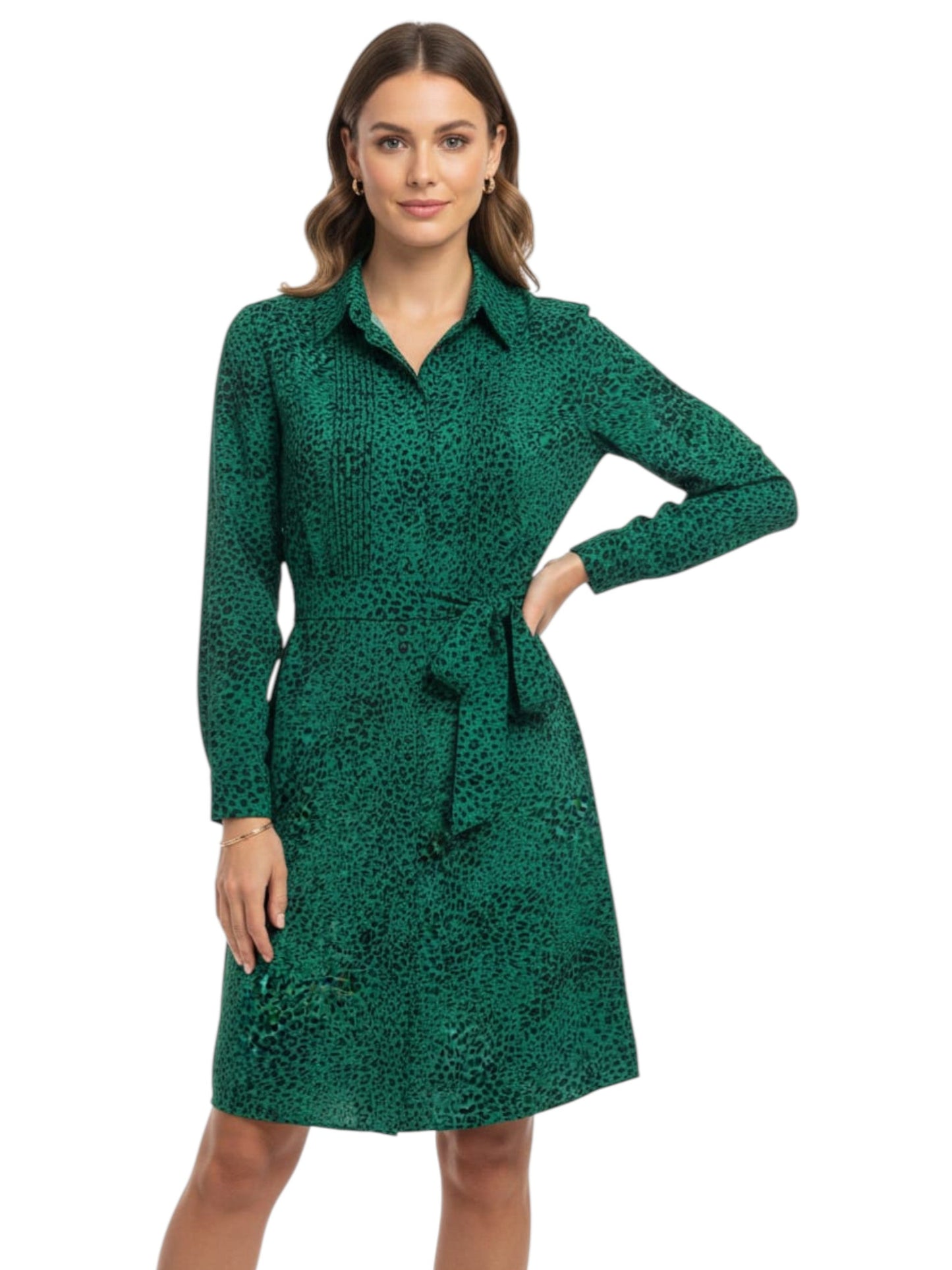 Women's Printed Dress,Green