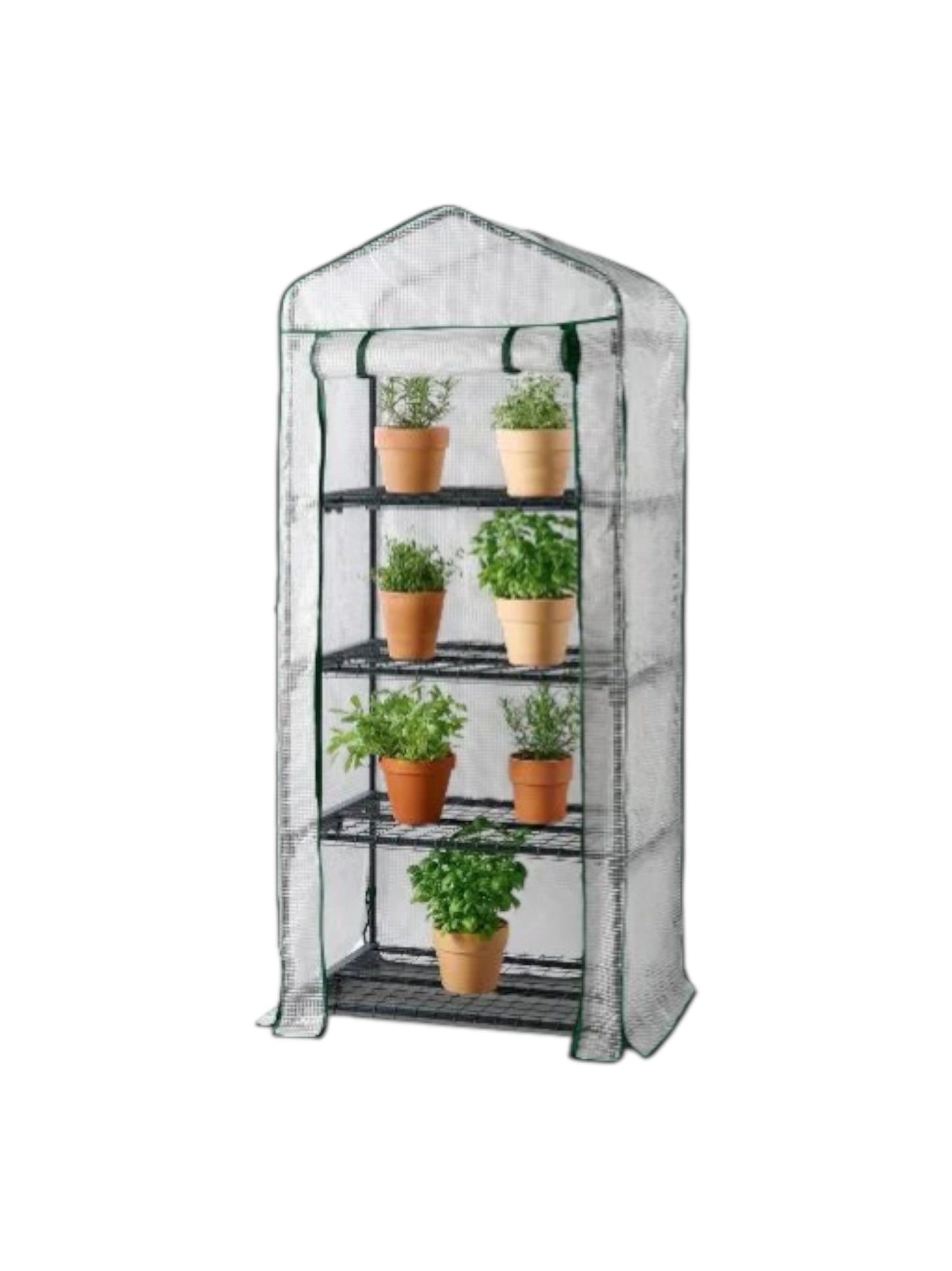 Greenhouse