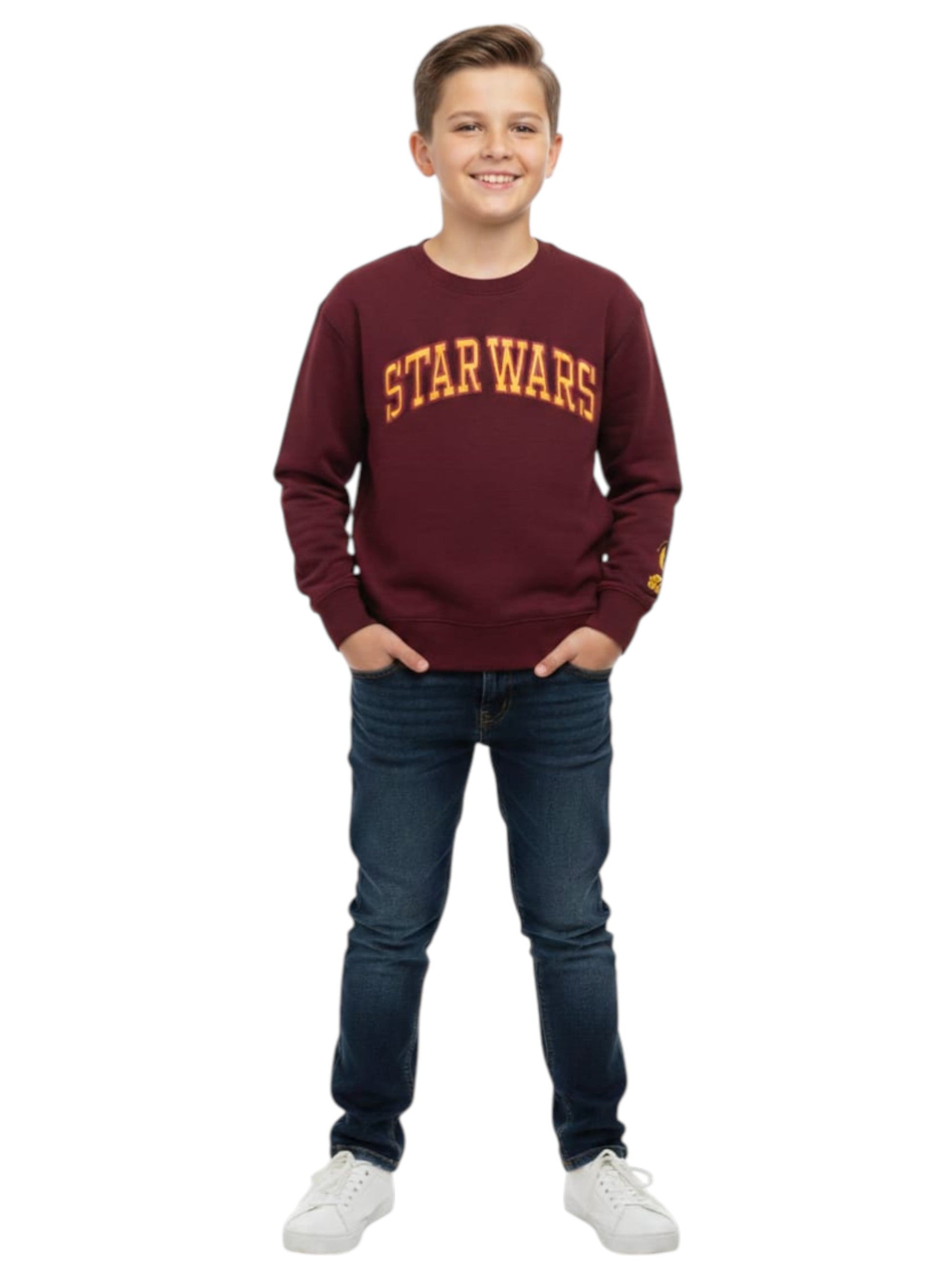 Kids Boy's Printed Swaeters,Burgundy