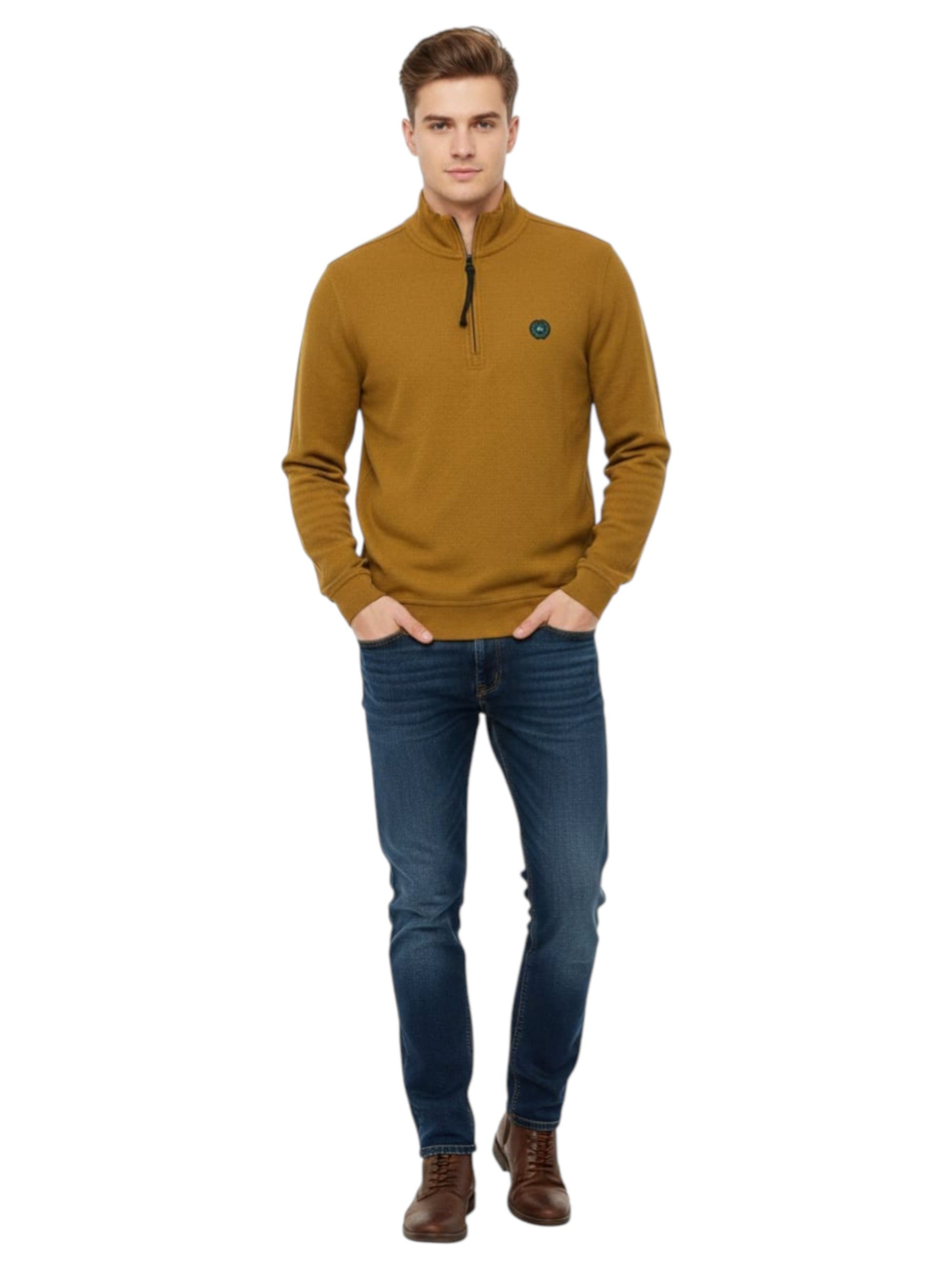 Men's Plain  Solid Sweaters,Light Brown