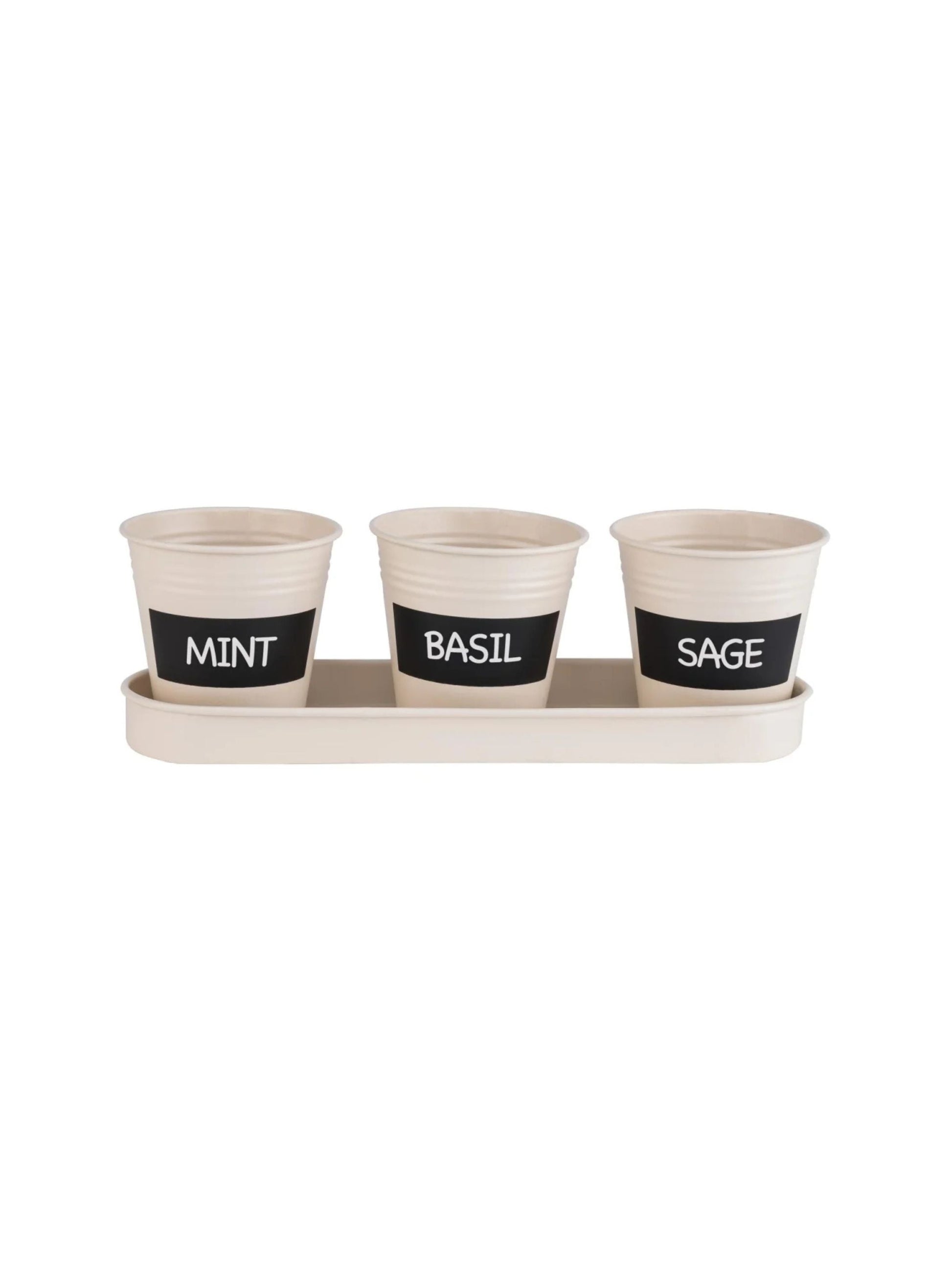 Herb Plant Pot Set
