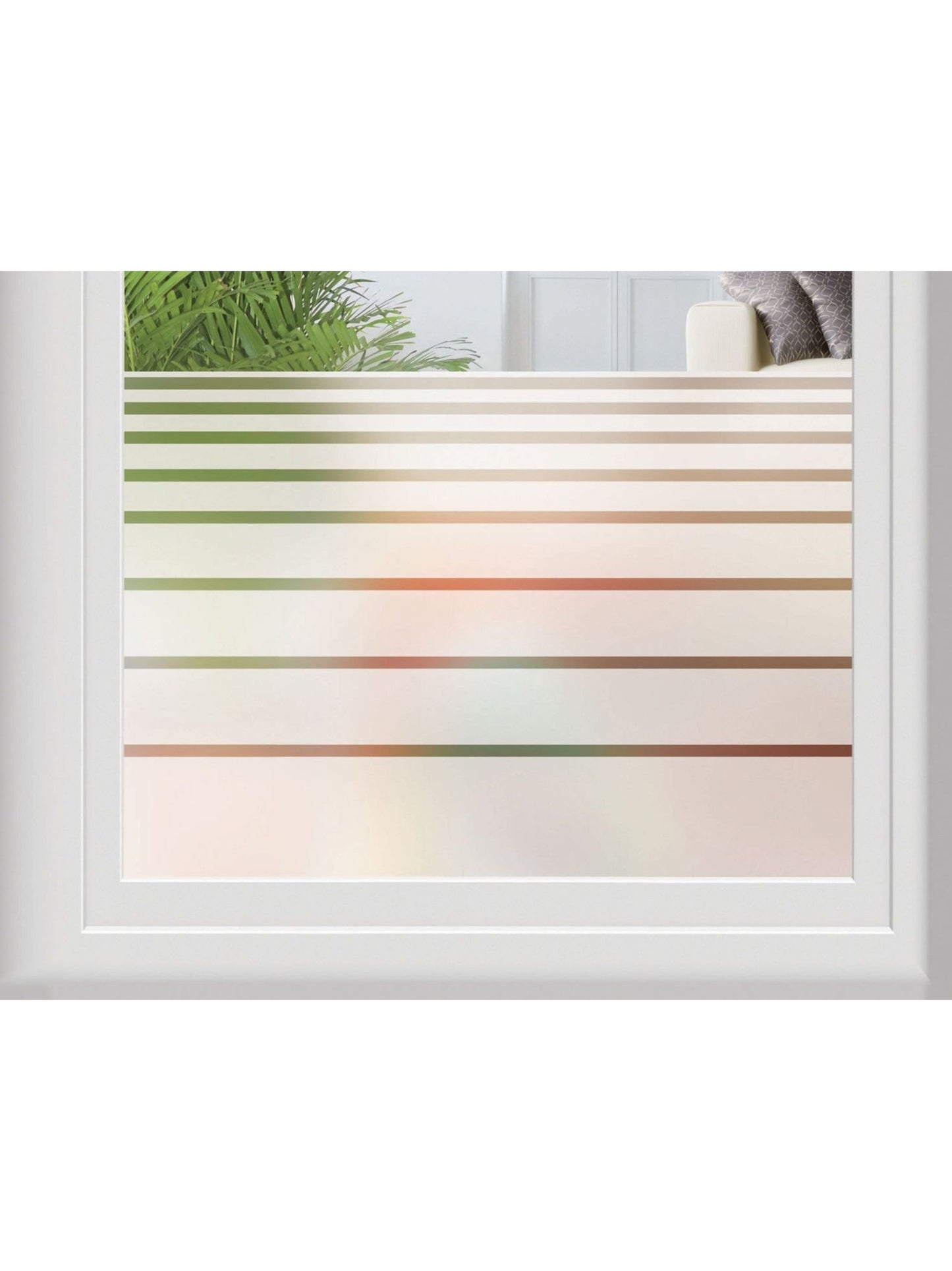 Window Film