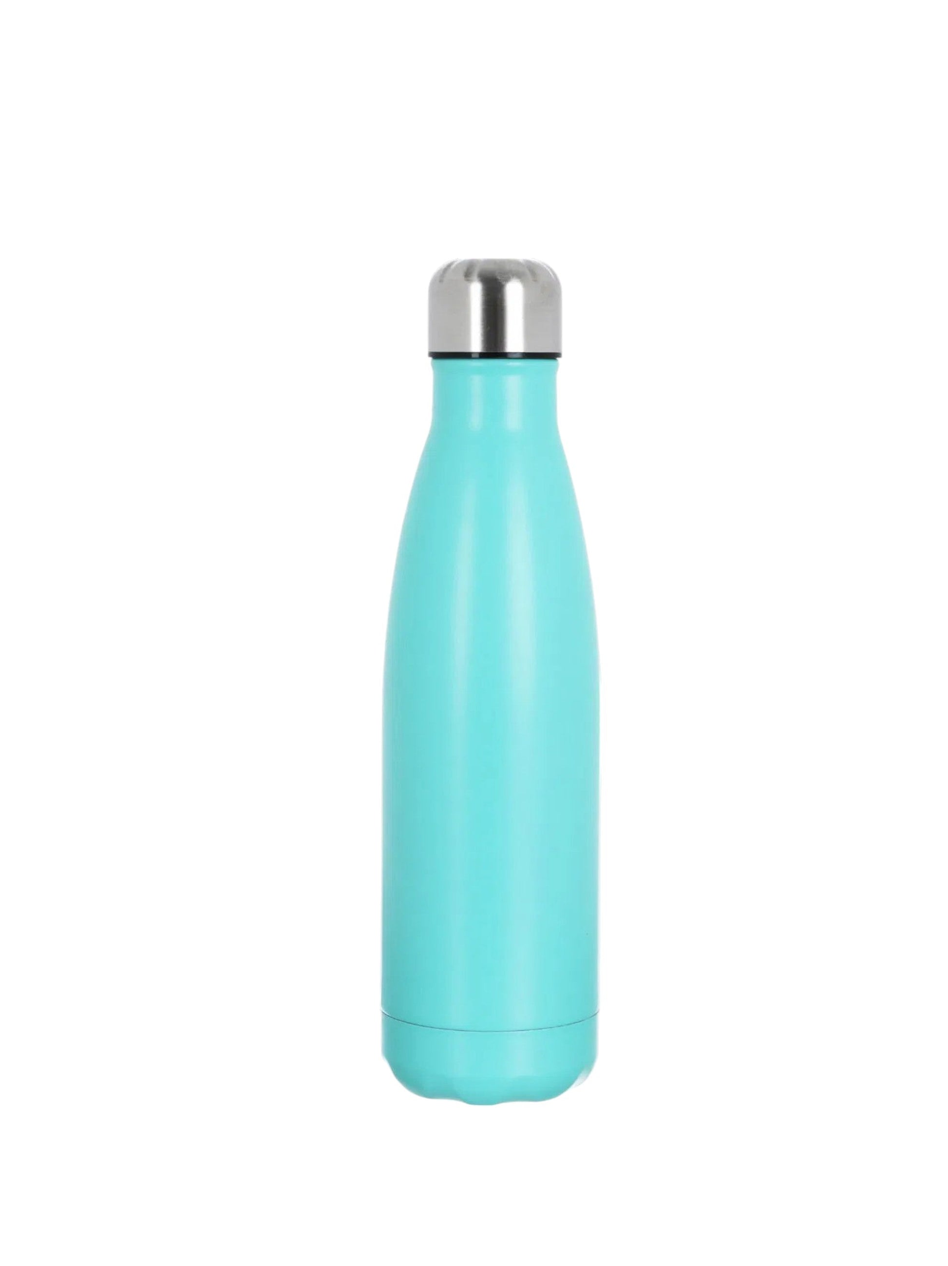 Stainless Steel Bottle