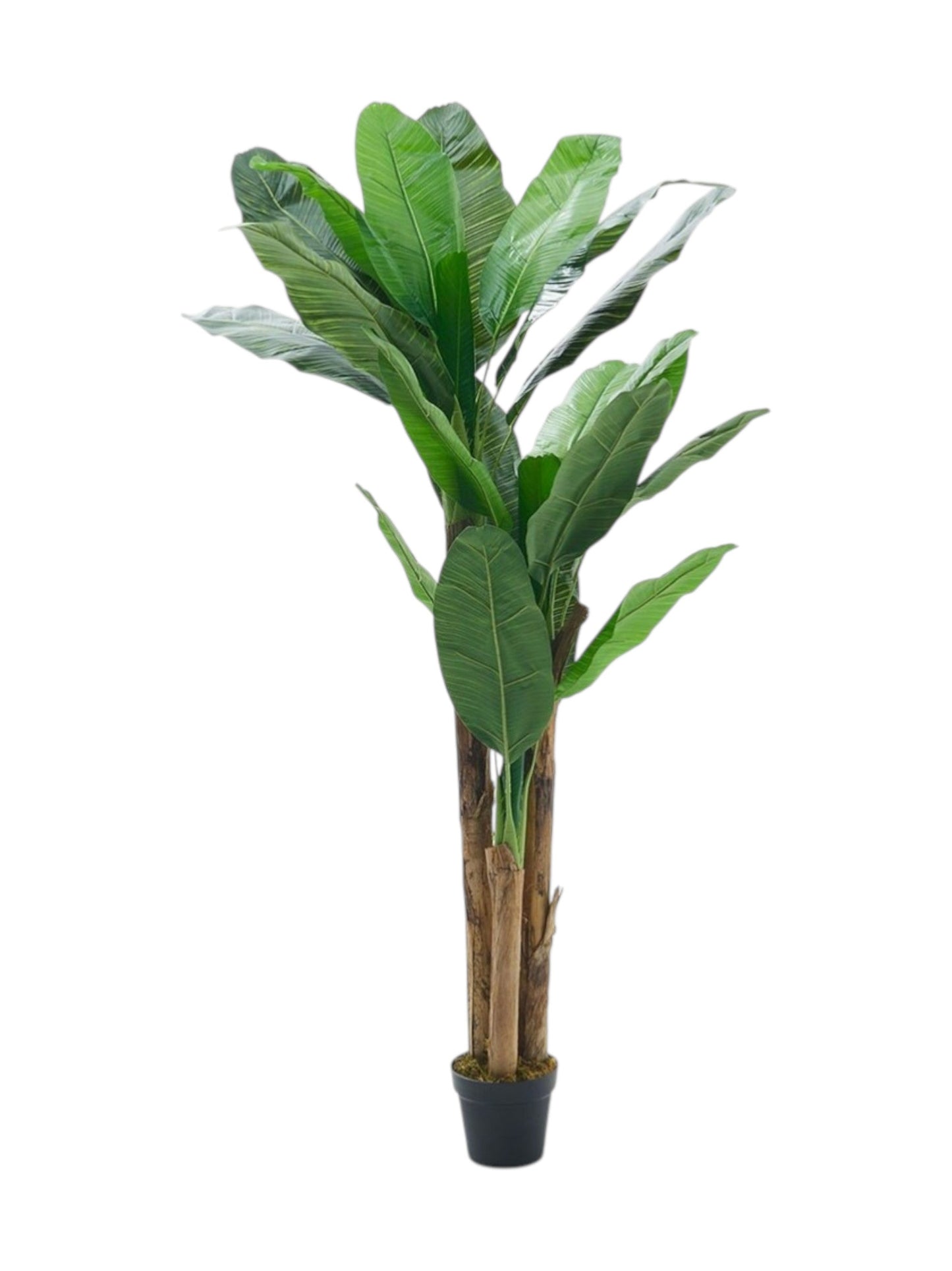Artificial Banana Leaf Plant