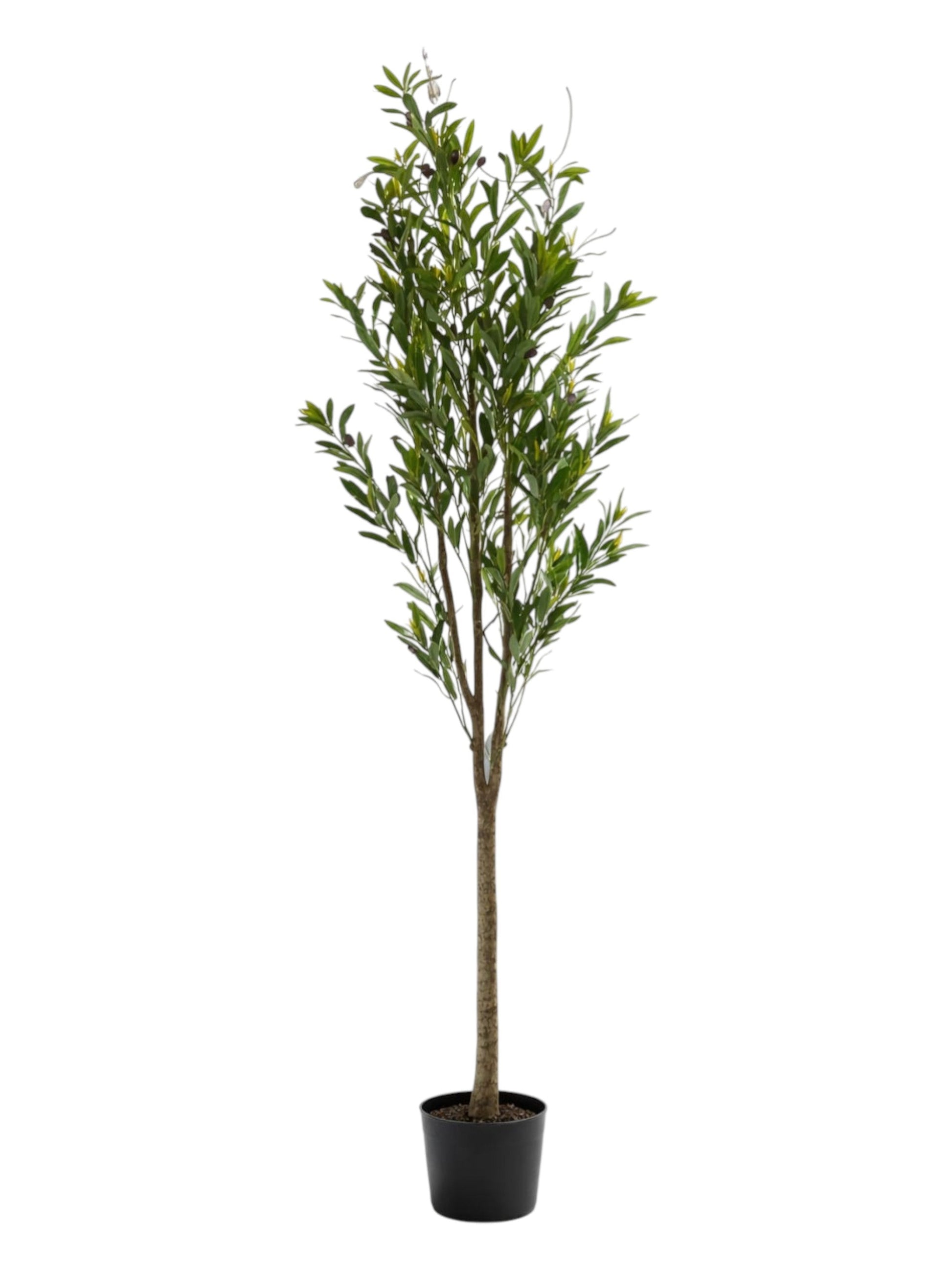 Artificial Olive Tree