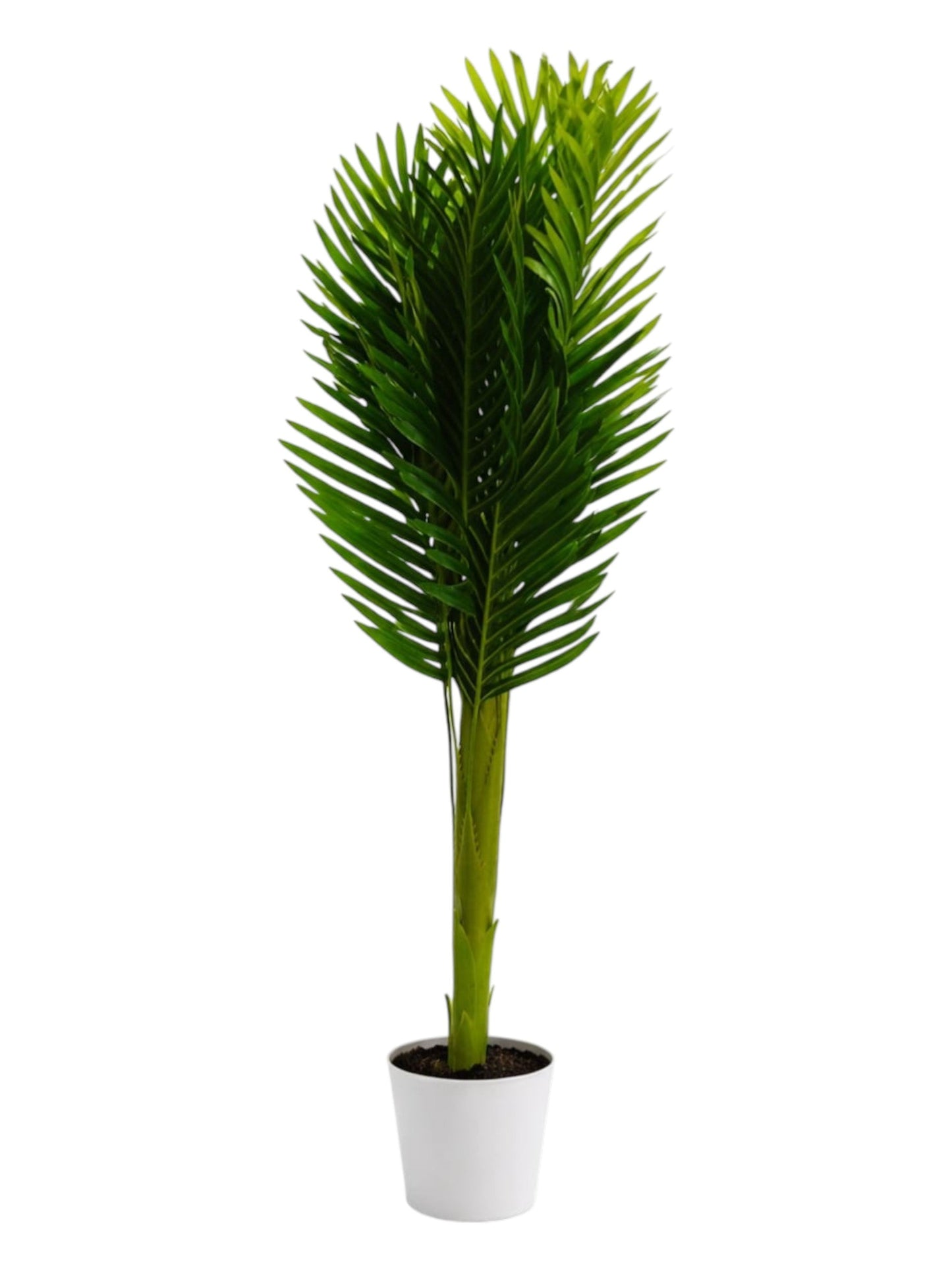 Artificial Palm Plant