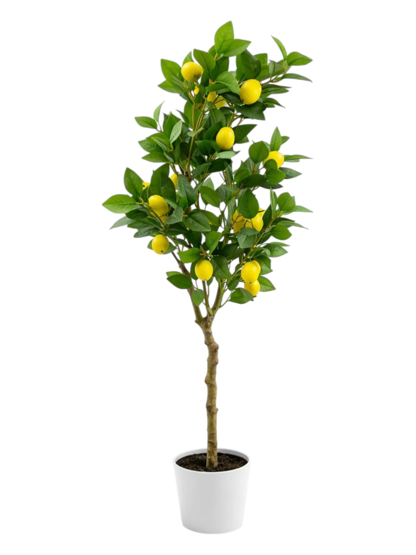 Artificial Lemon Tree