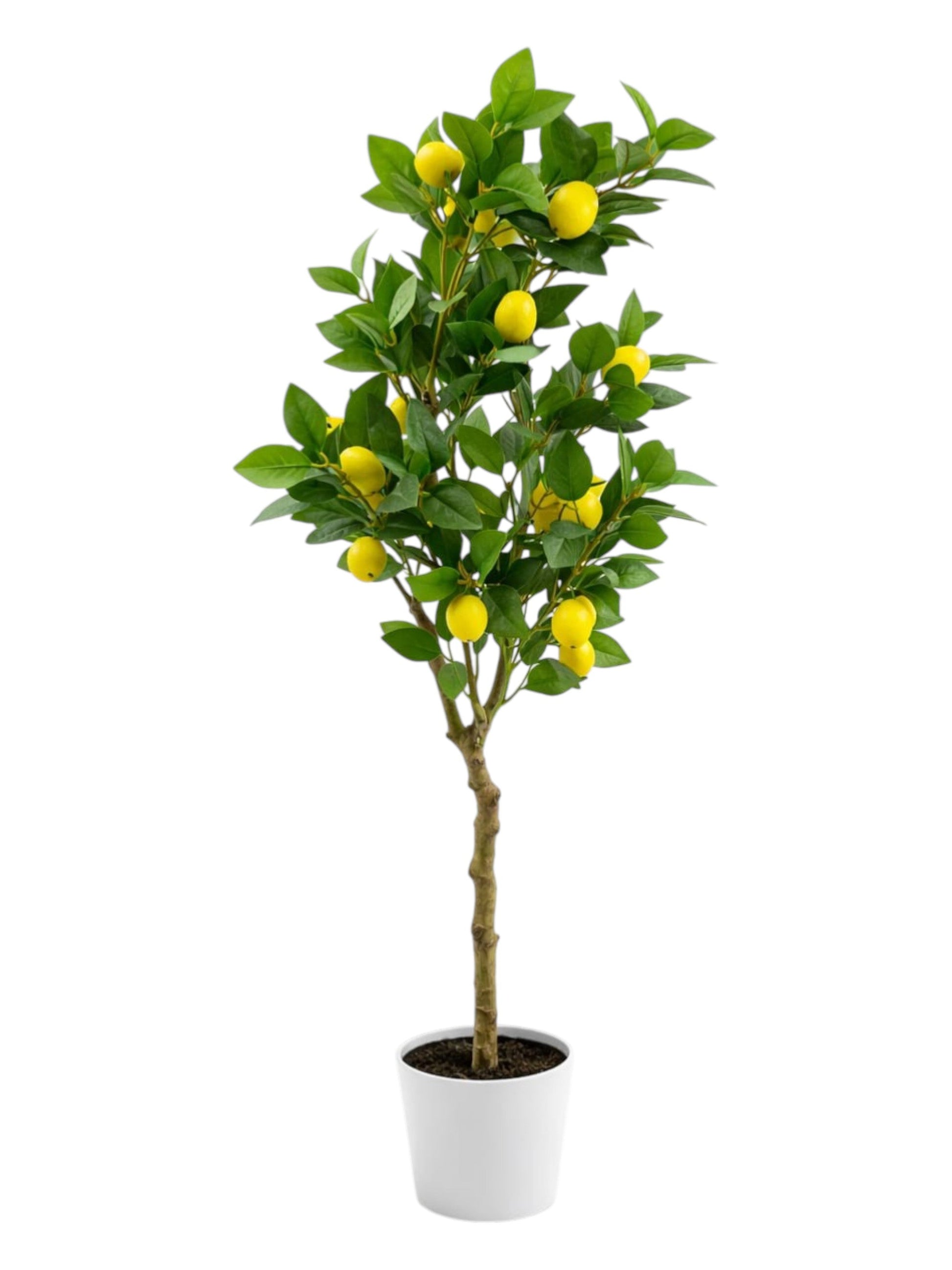 Artificial Lemon Tree