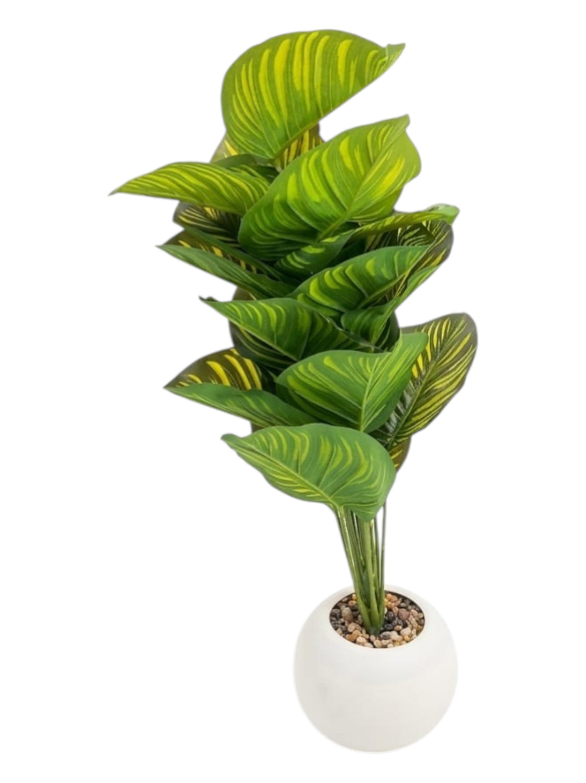 Artificial Calathea Orbifolia