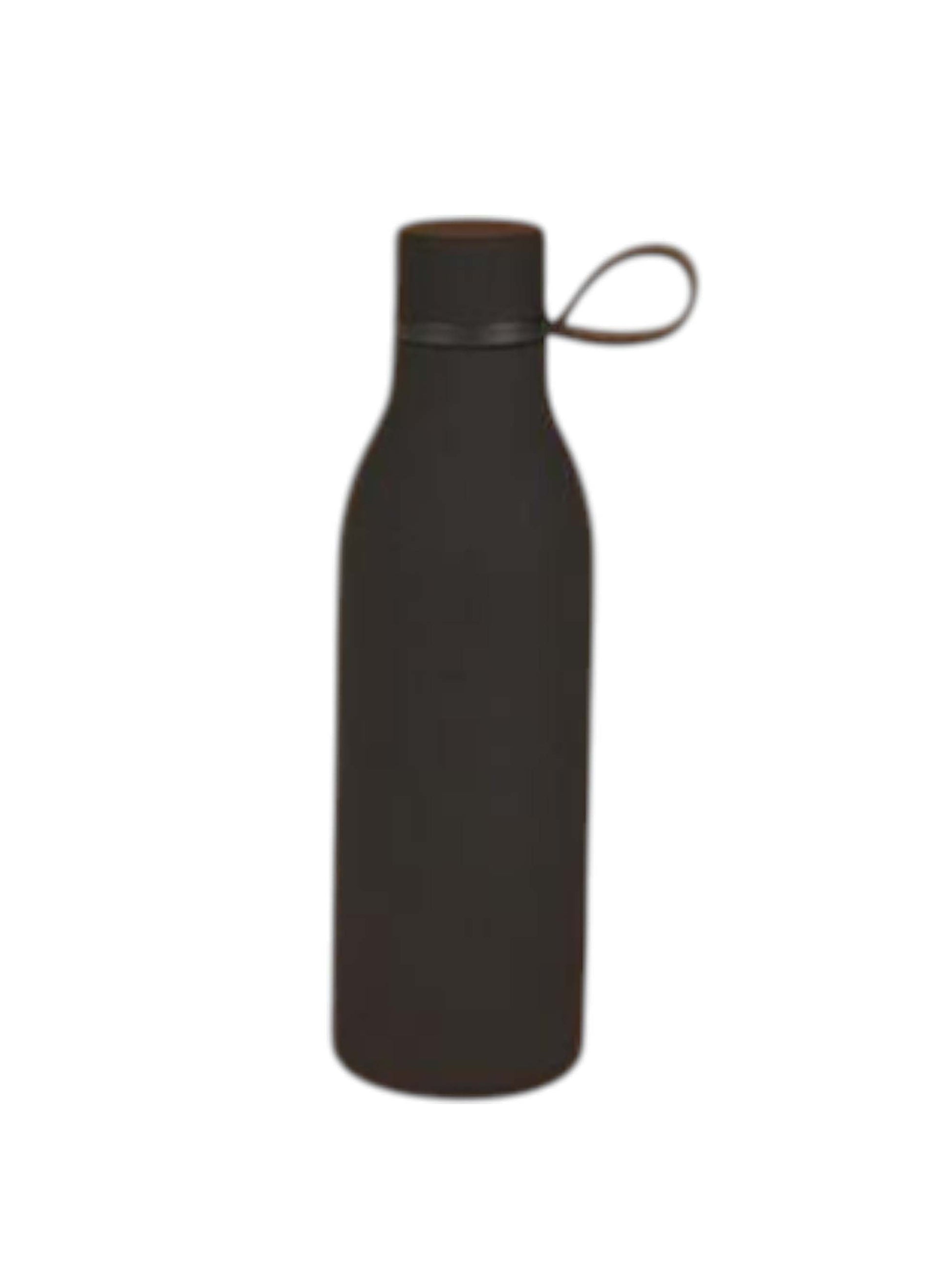 Insulated Water Bottle