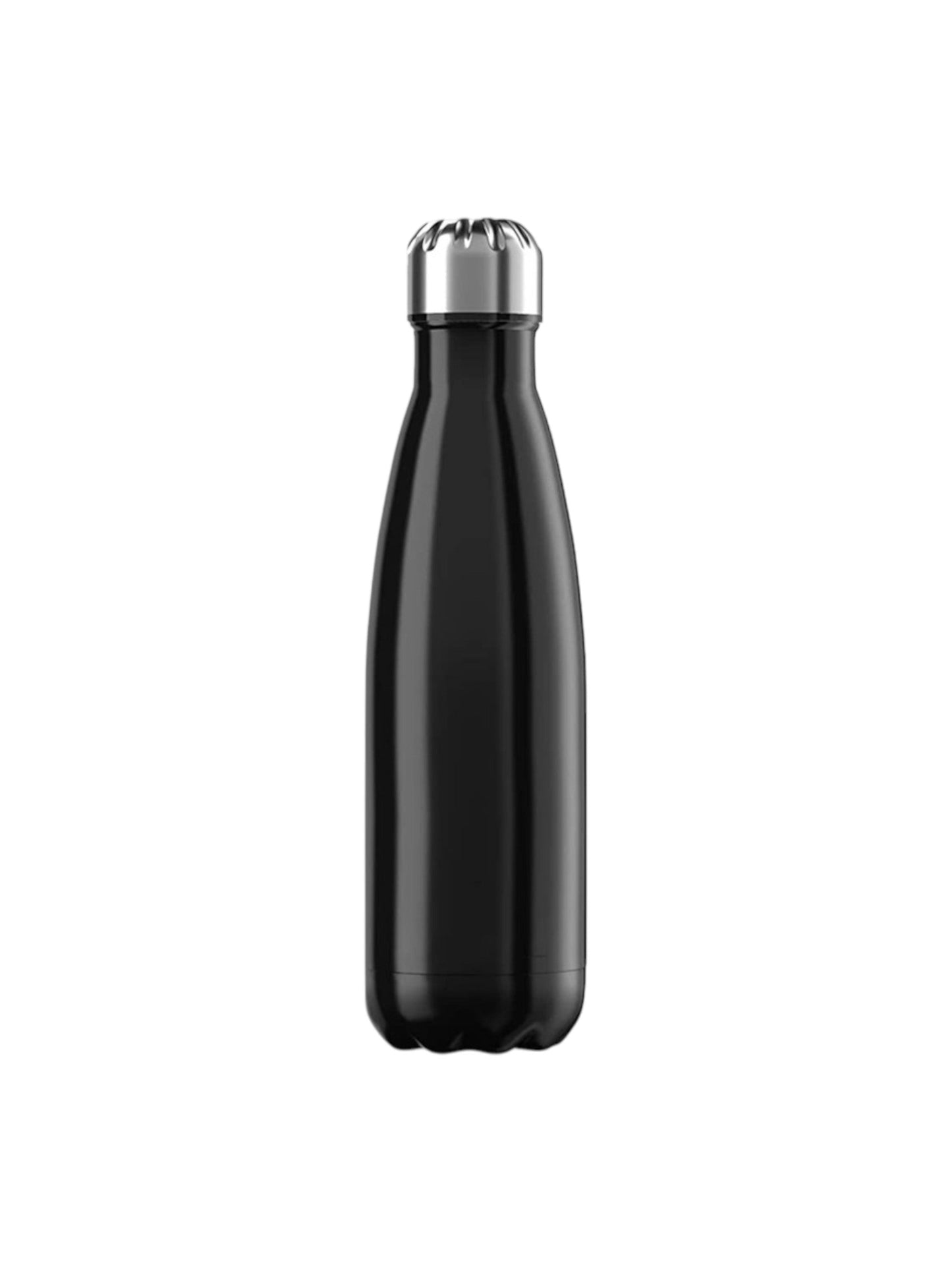 Stainless Steel Bottle