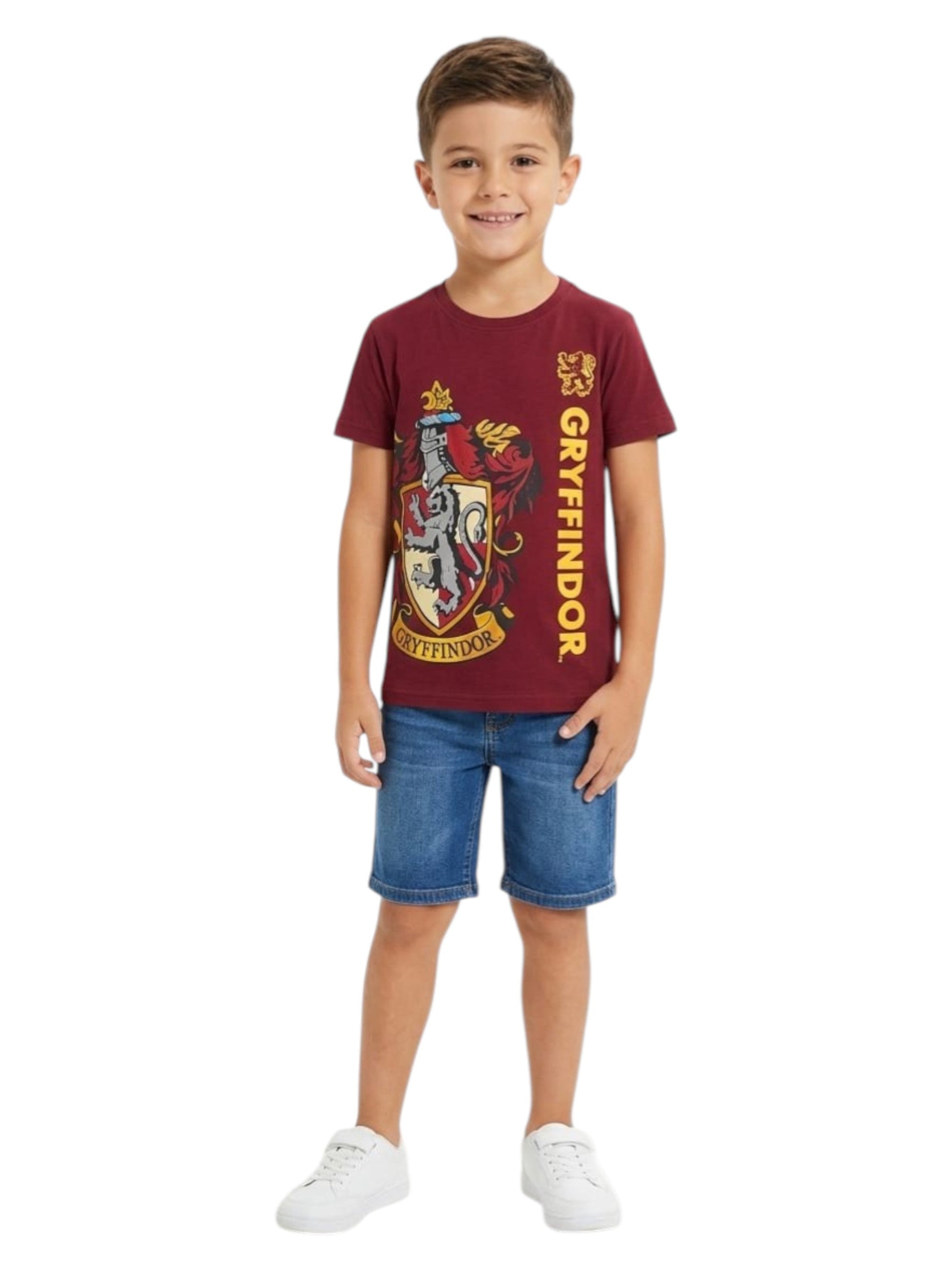 Kids Boy's Printed Top,Burgundy
